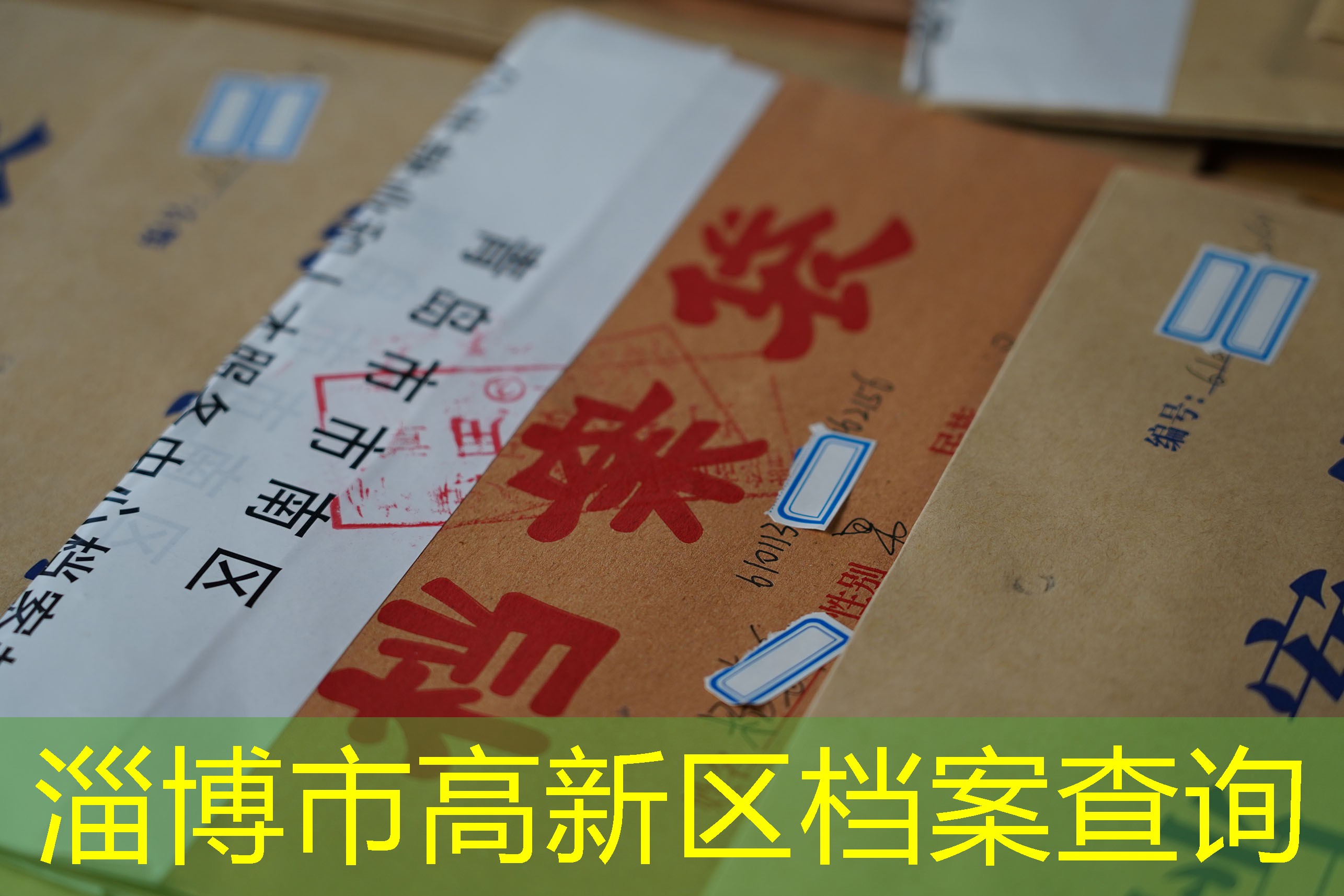 档案查询