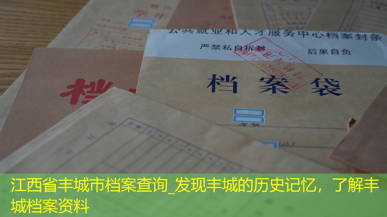 档案查询