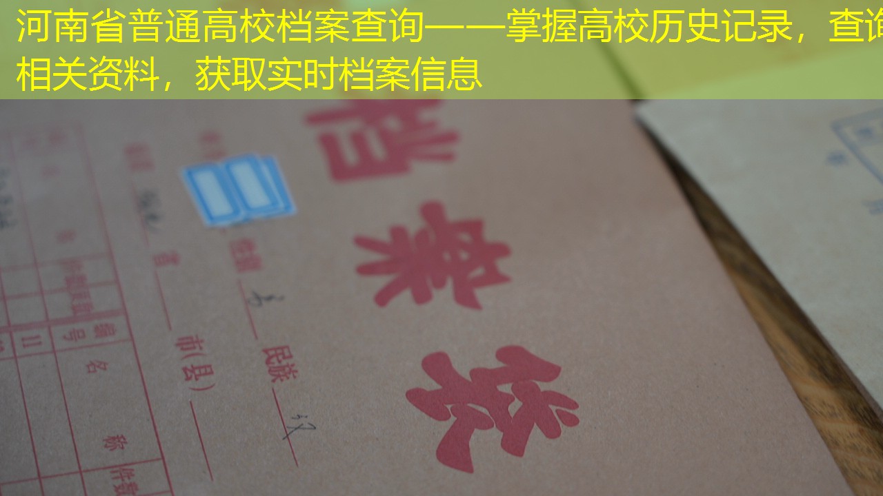 档案查询