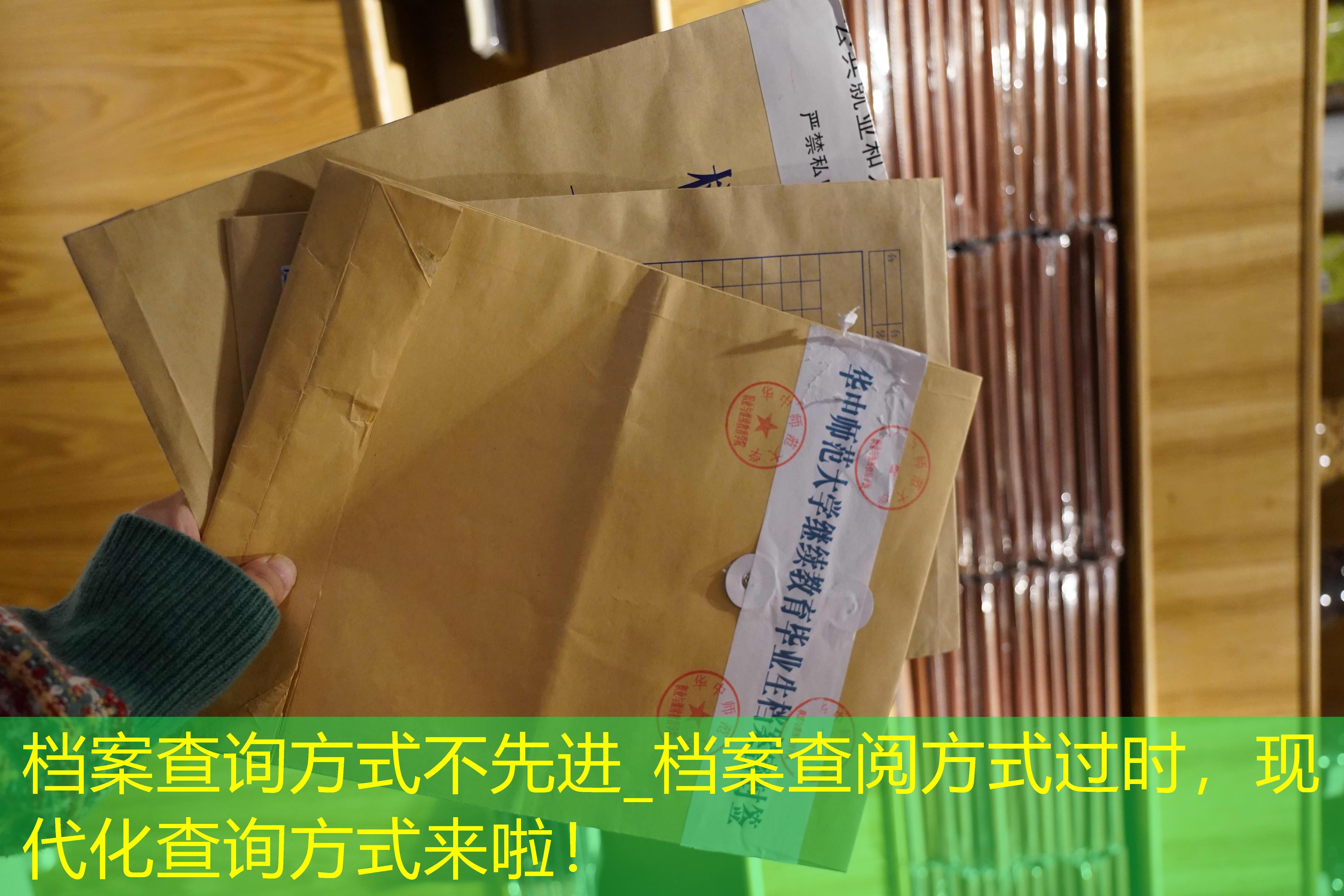 档案查询
