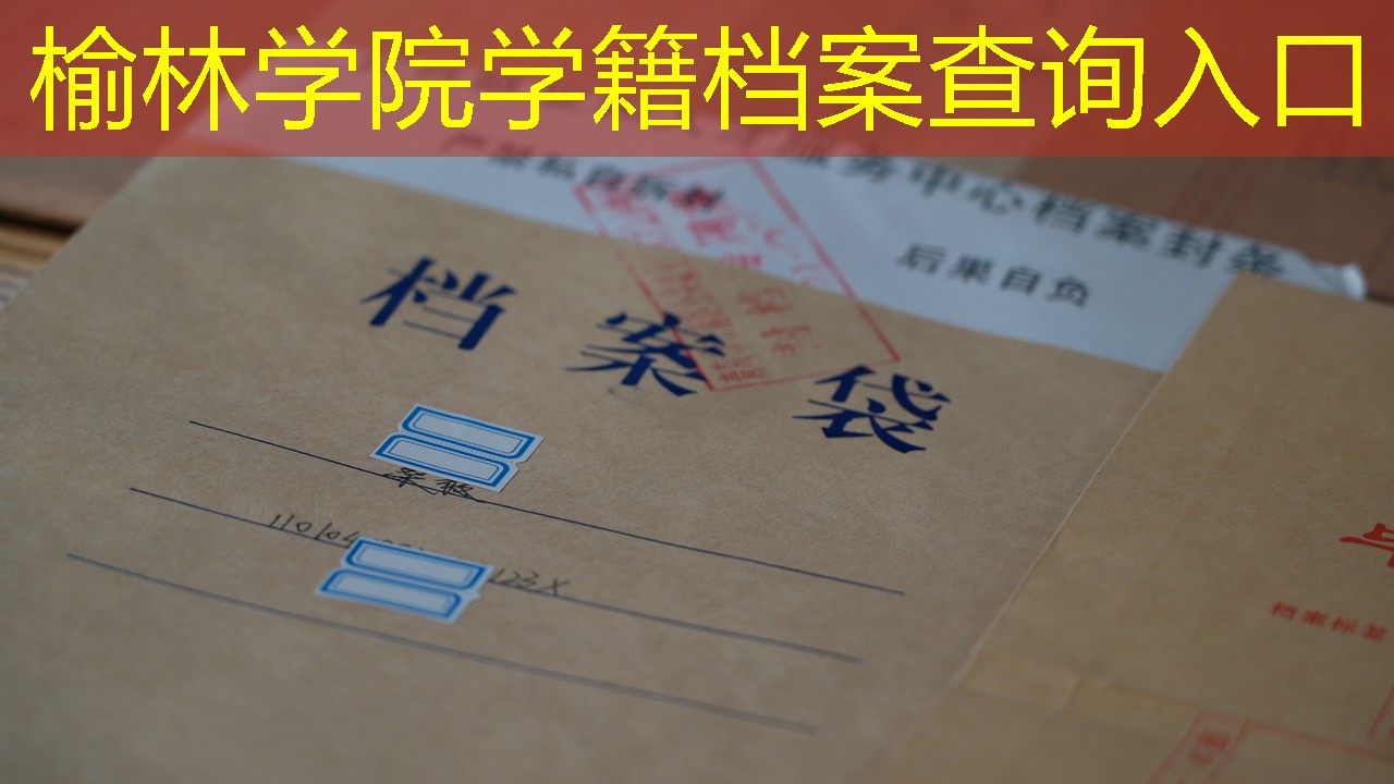 档案查询