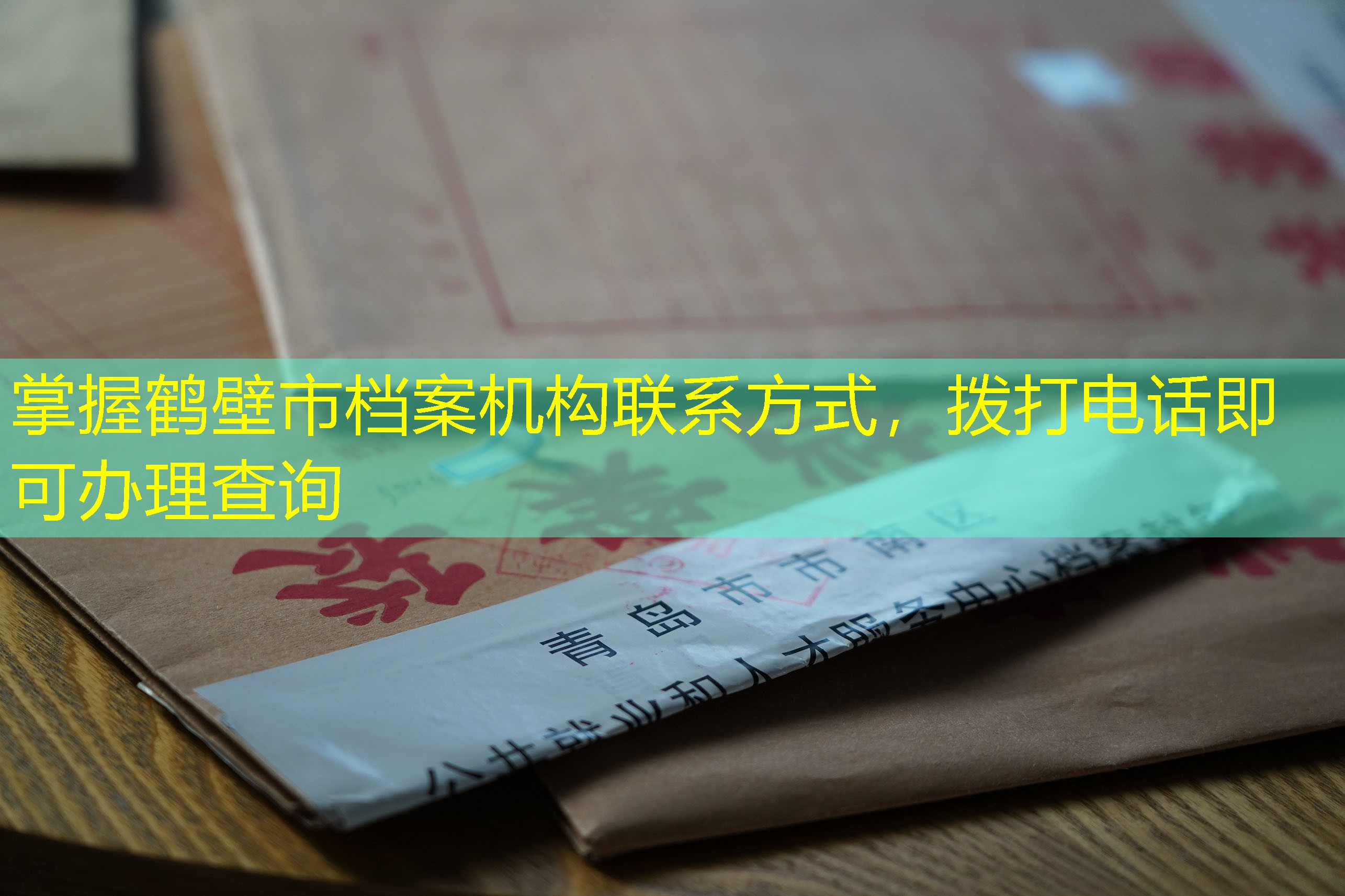 档案查询