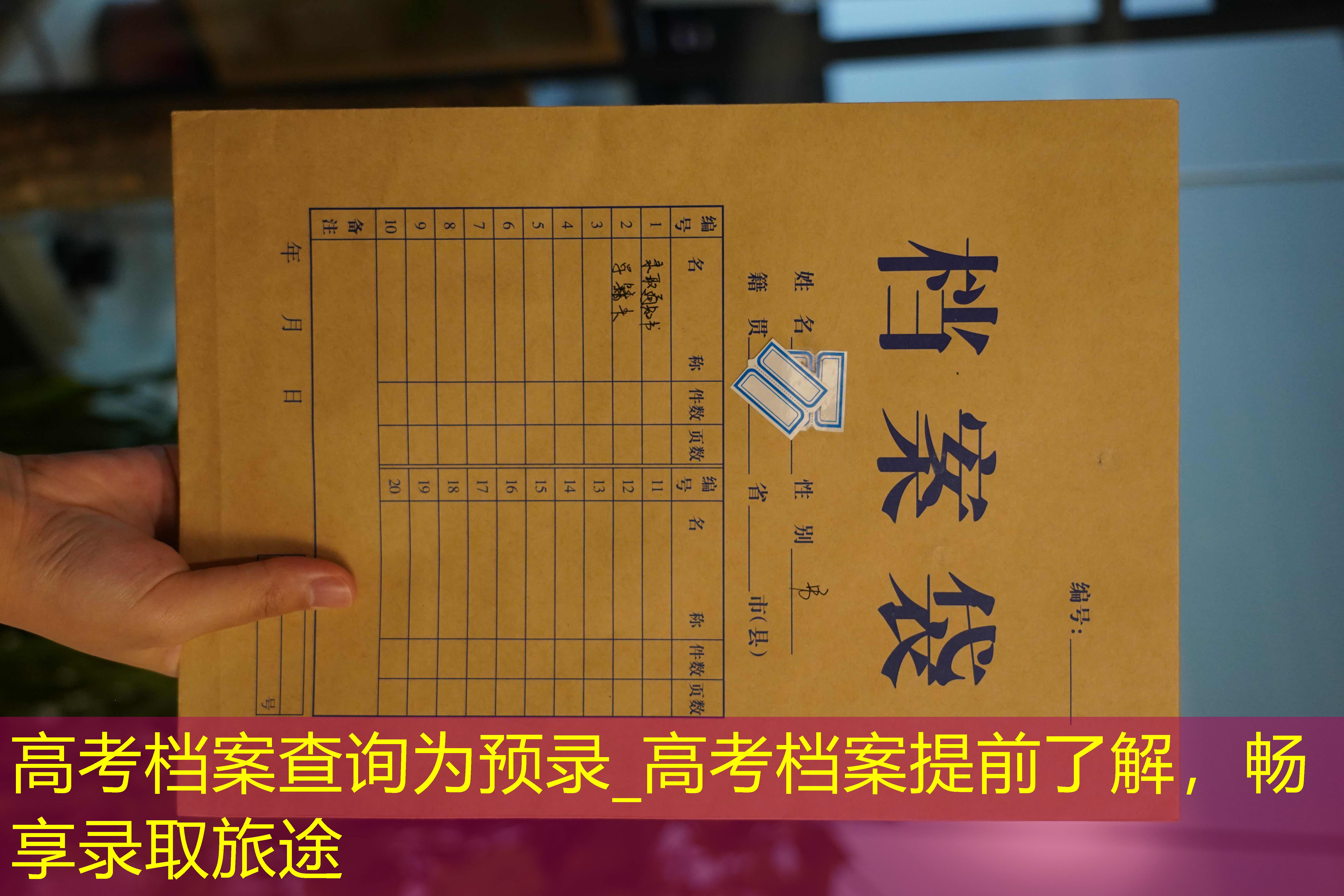 档案查询