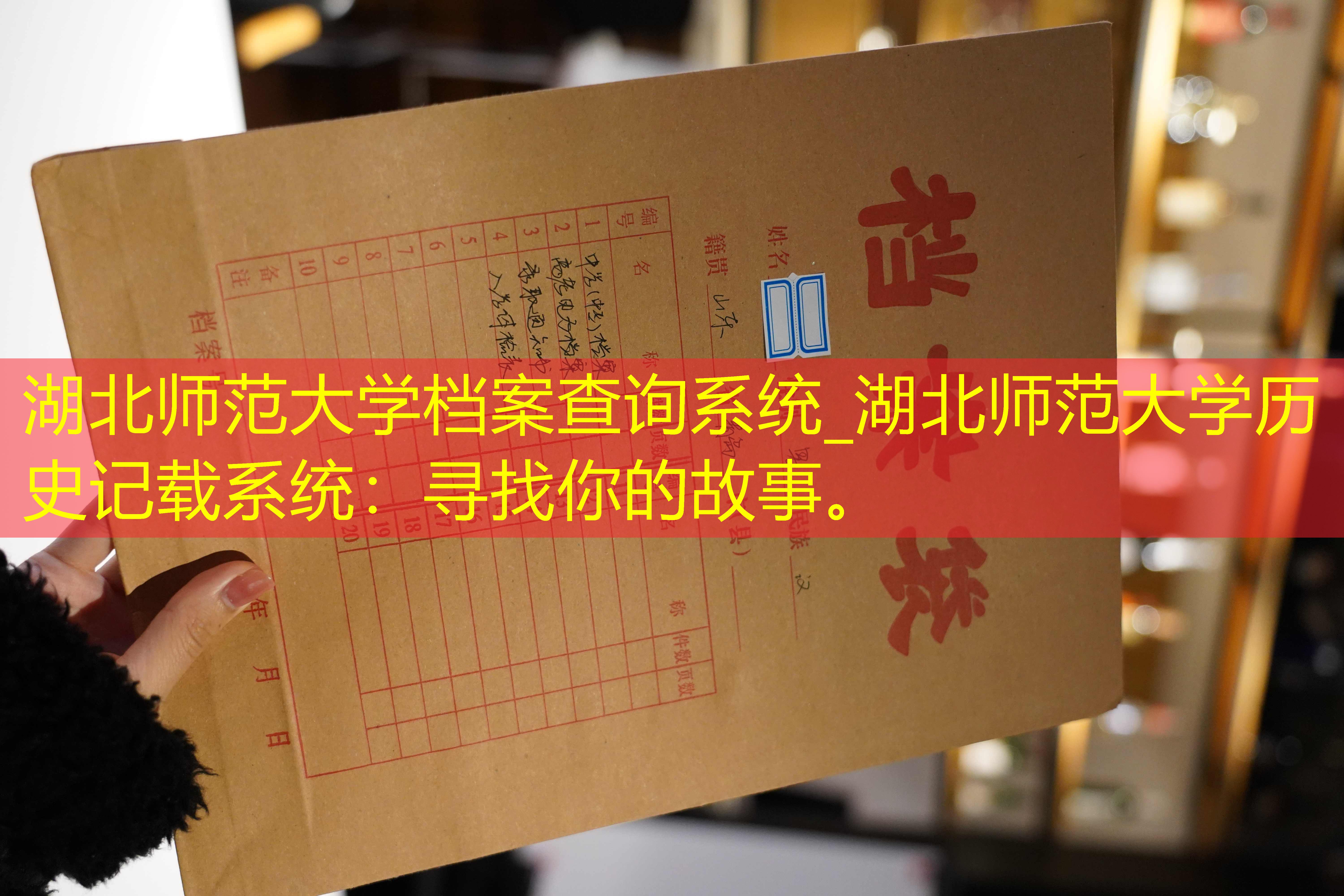 档案查询