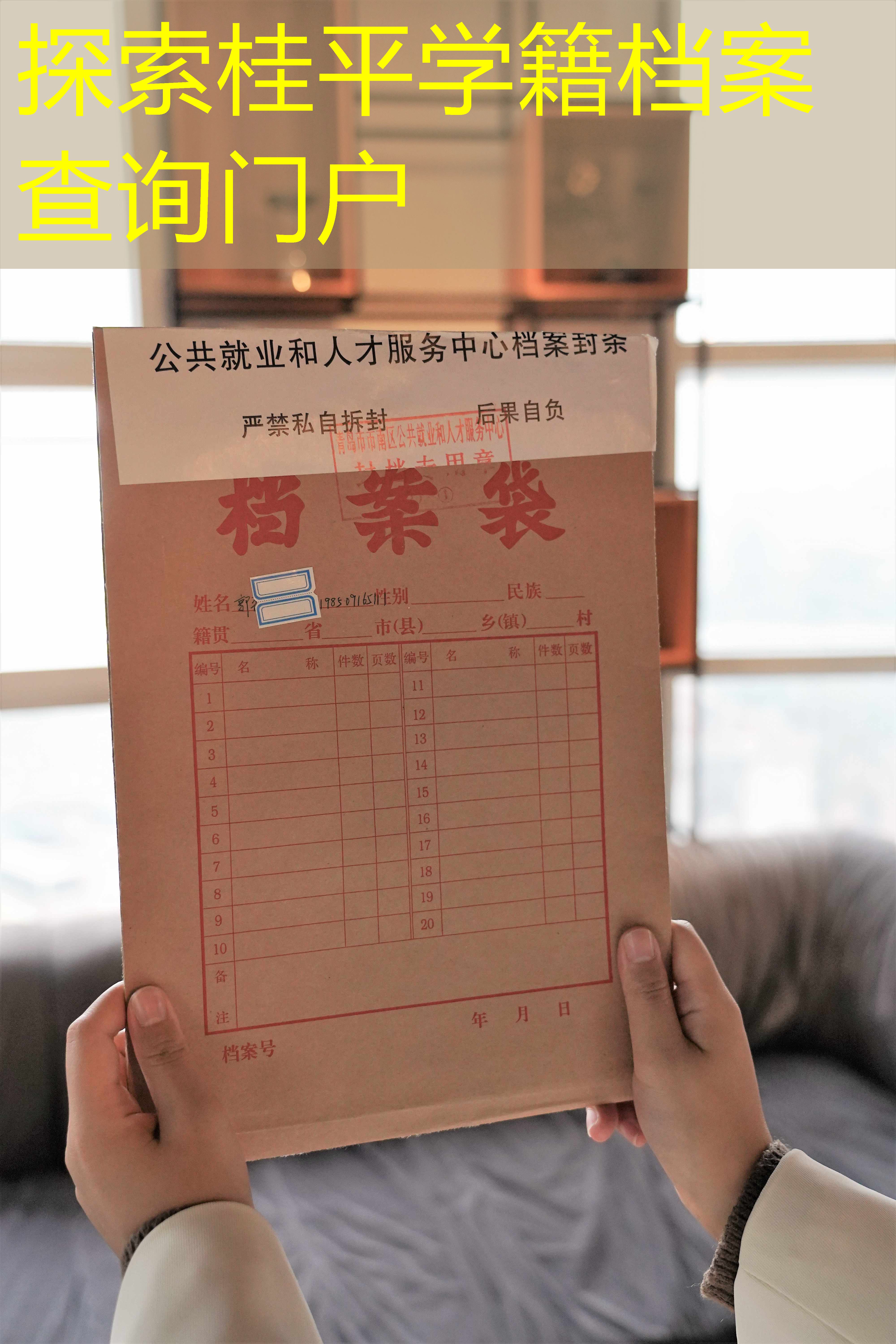 档案查询