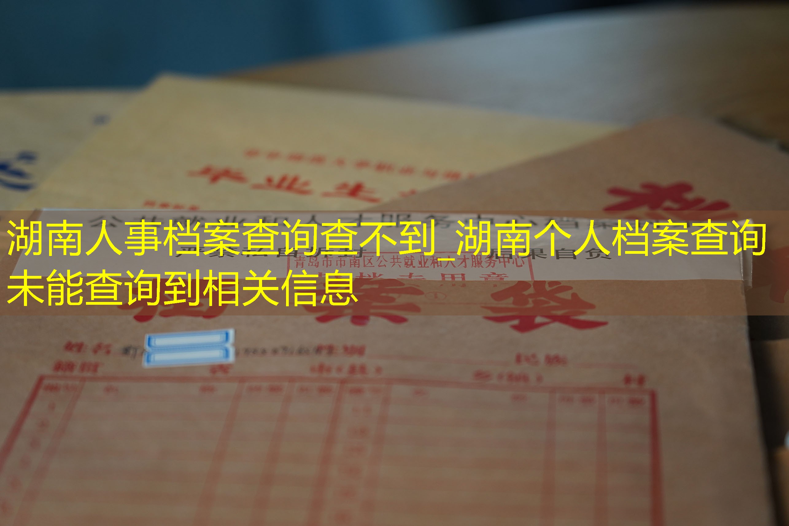 档案查询