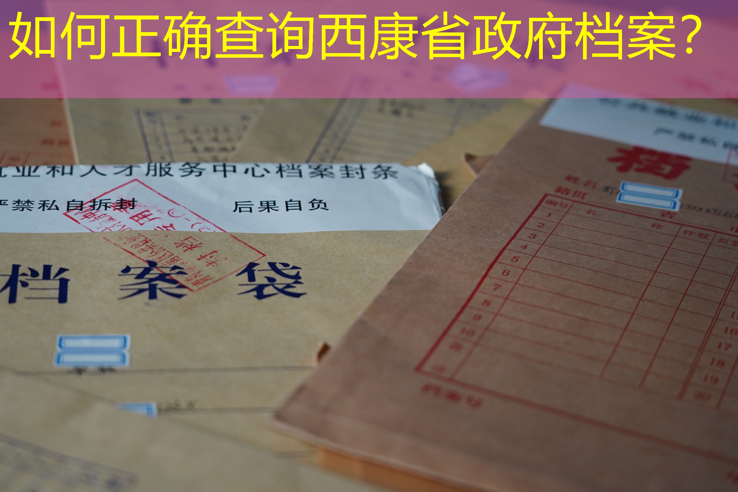 档案查询