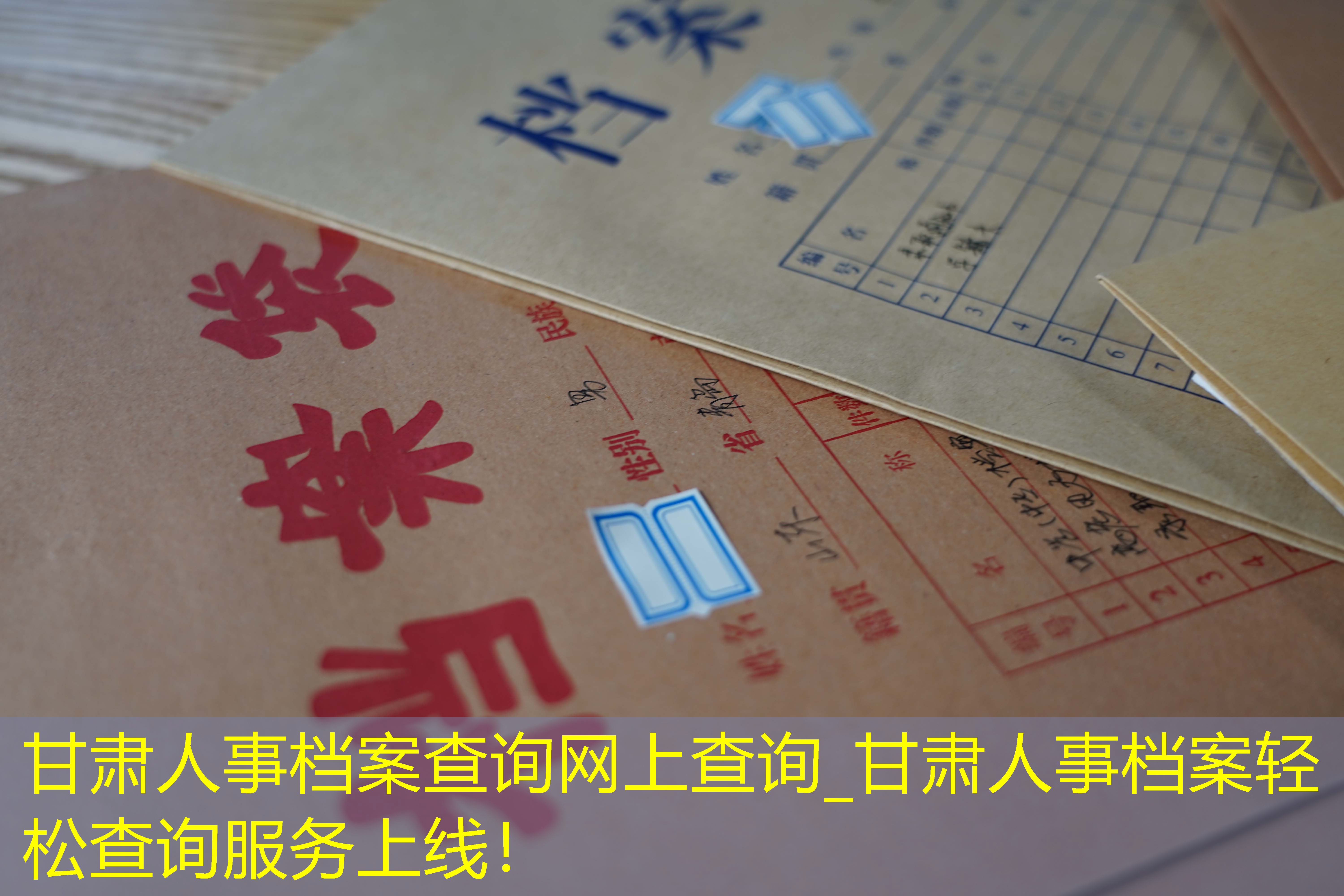 档案查询