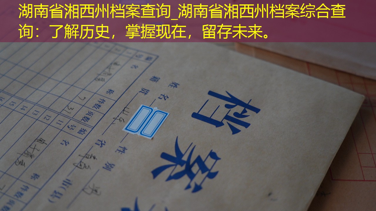 档案查询