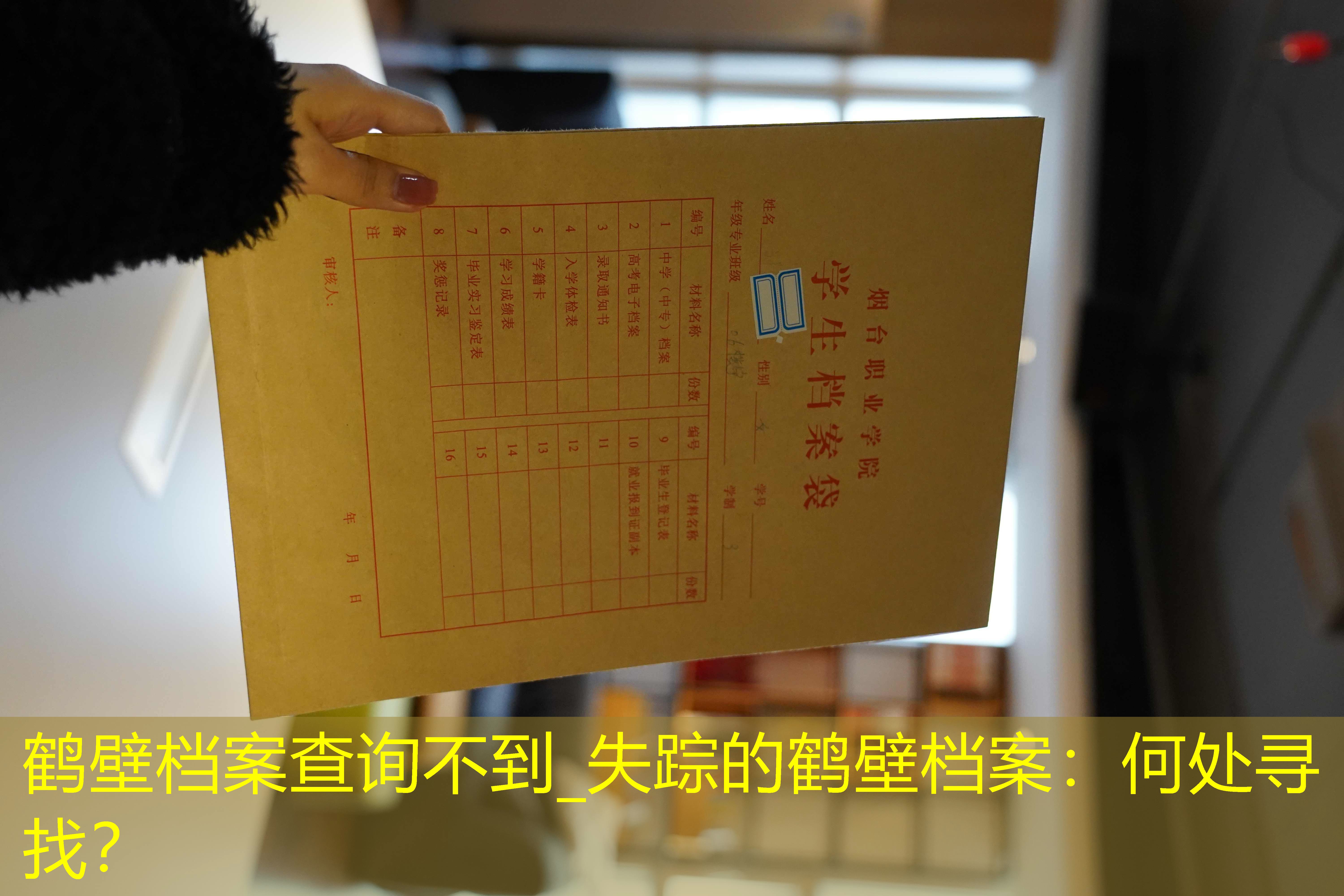 档案查询