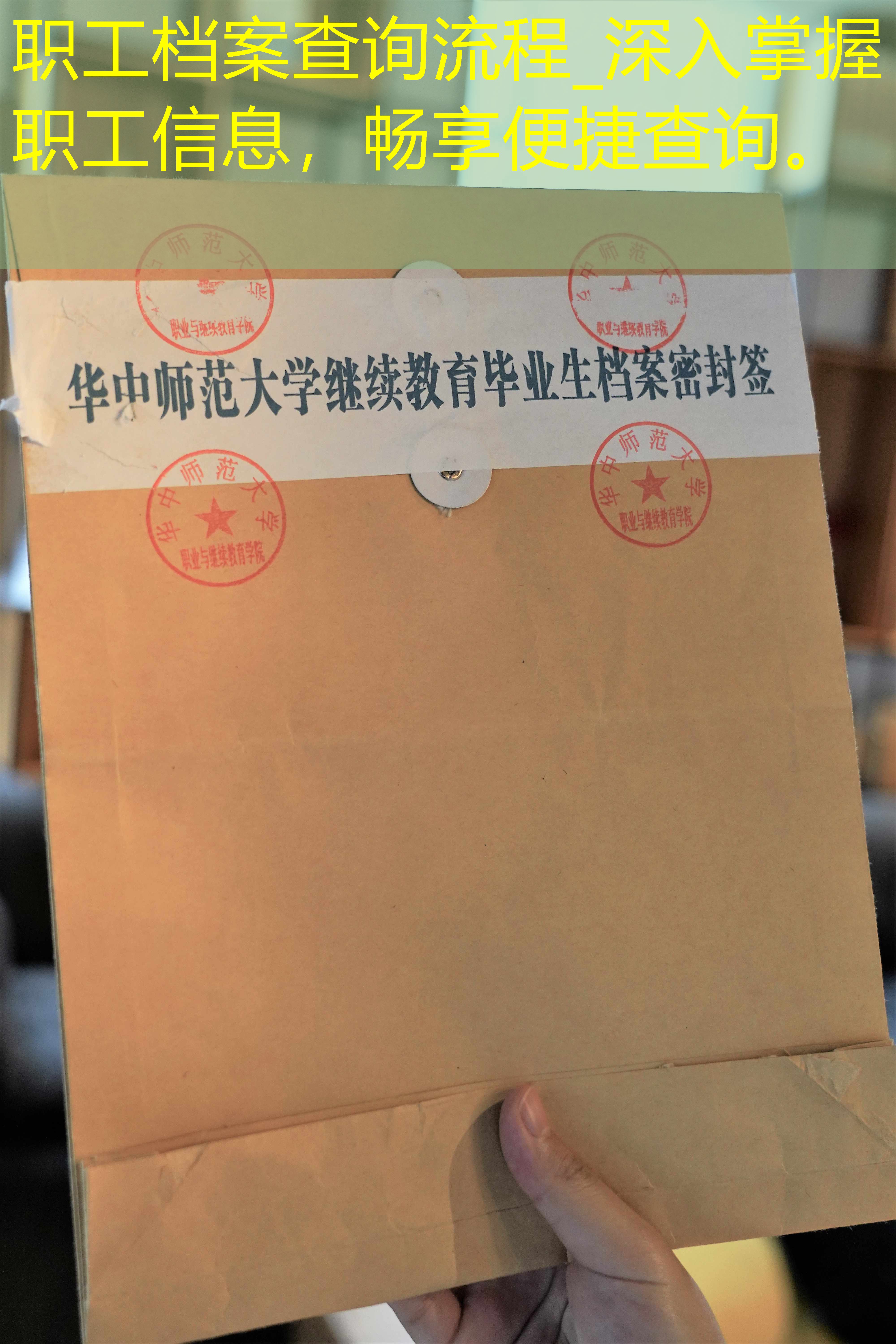 档案查询