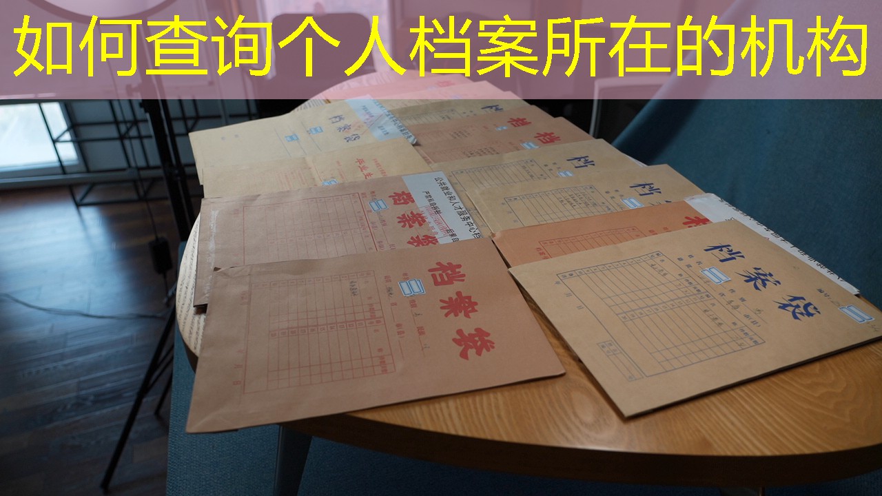 档案查询