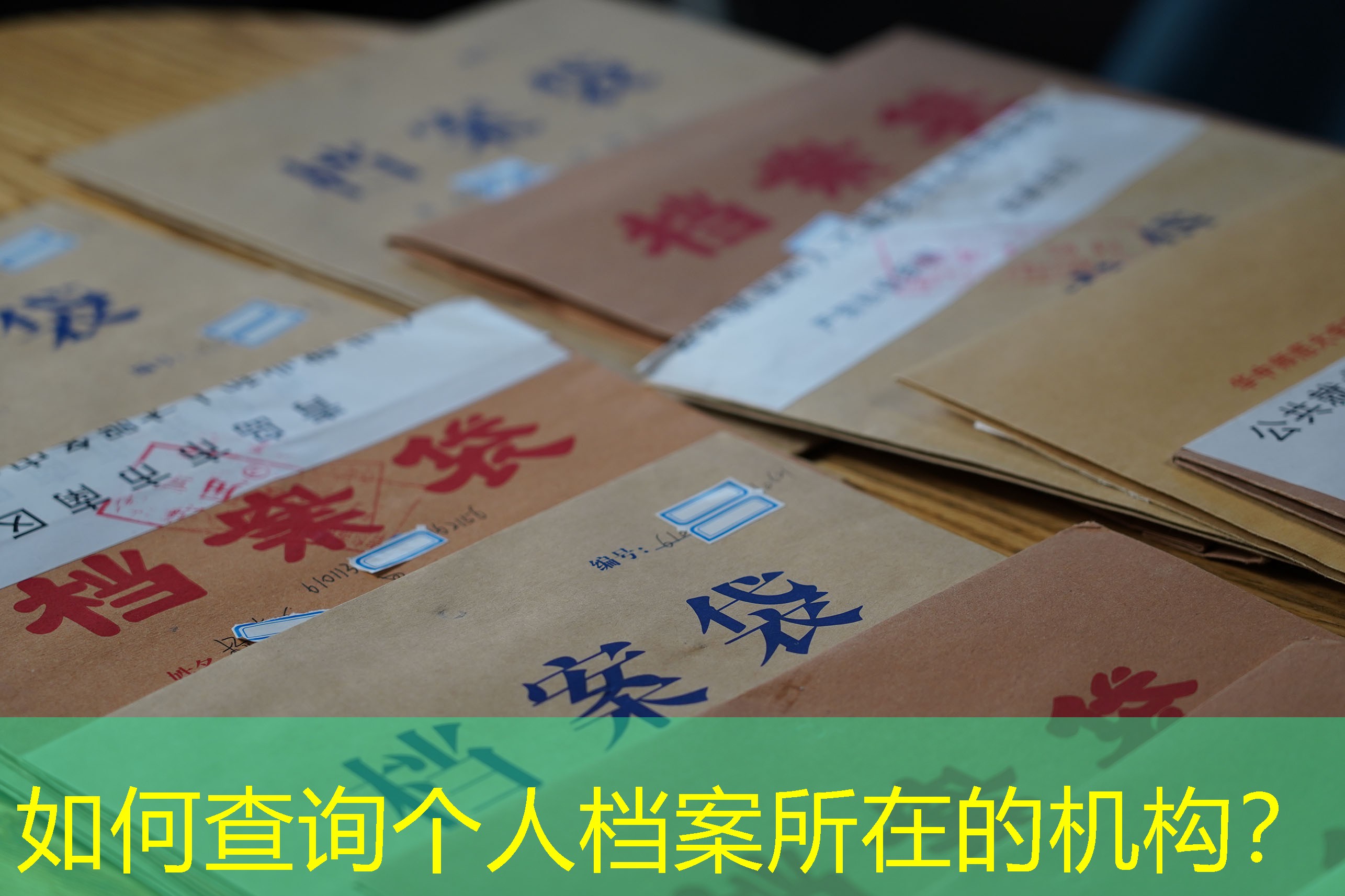档案查询