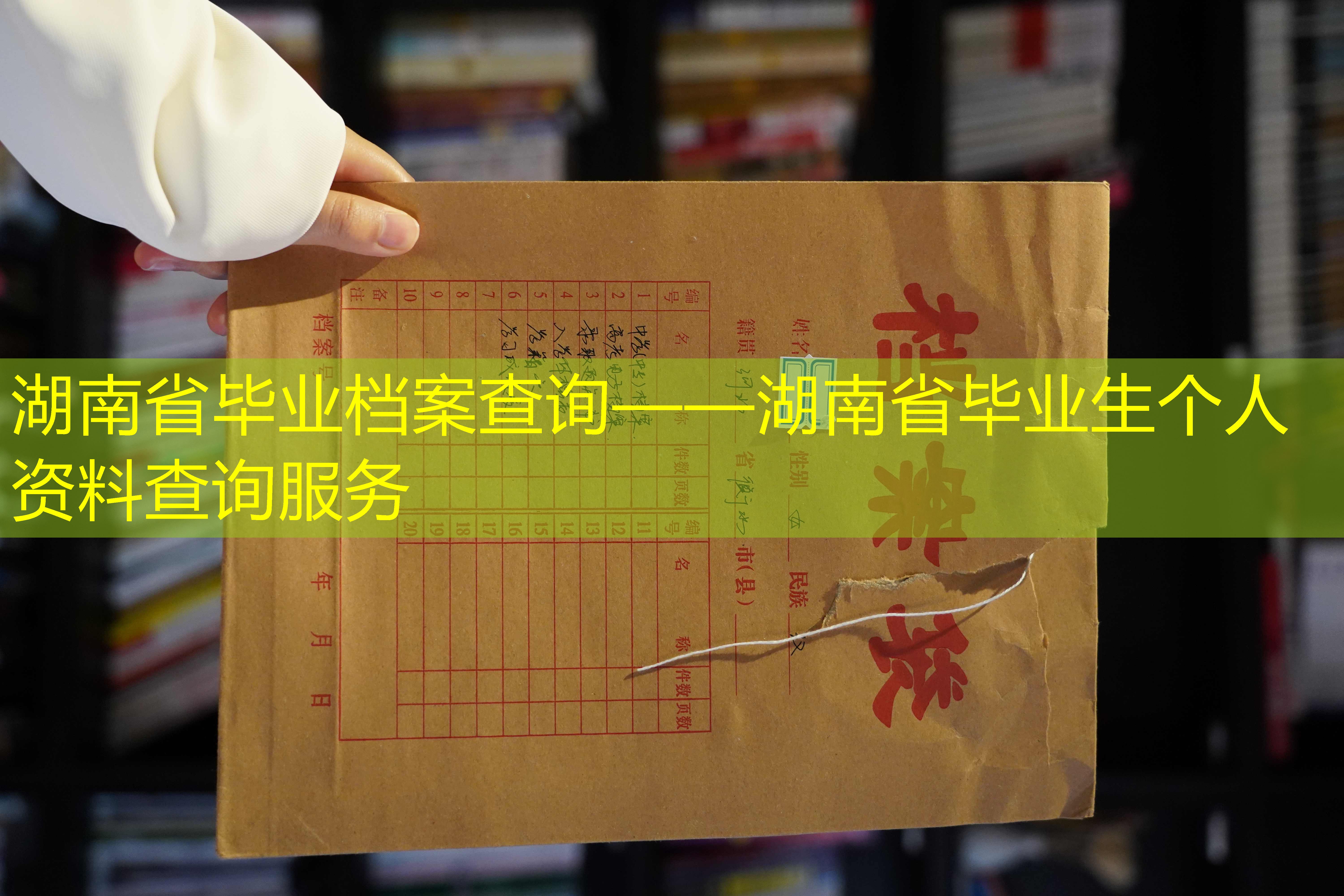 档案查询