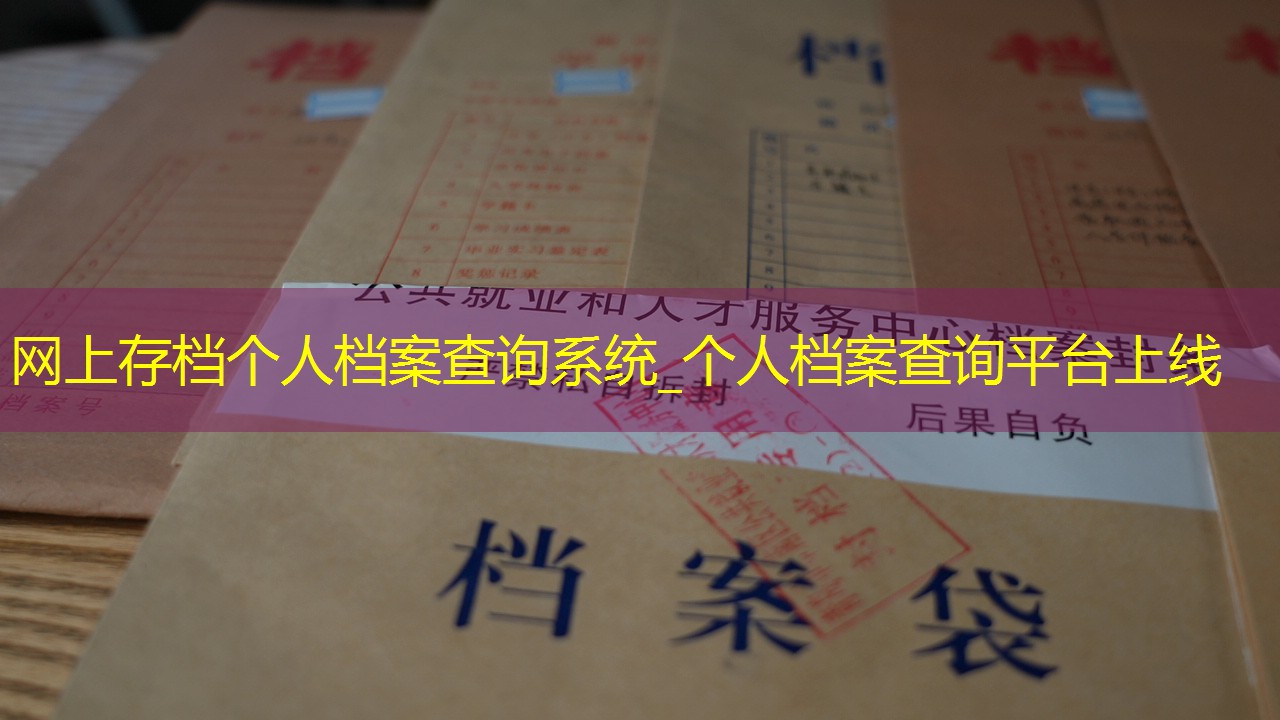 档案查询
