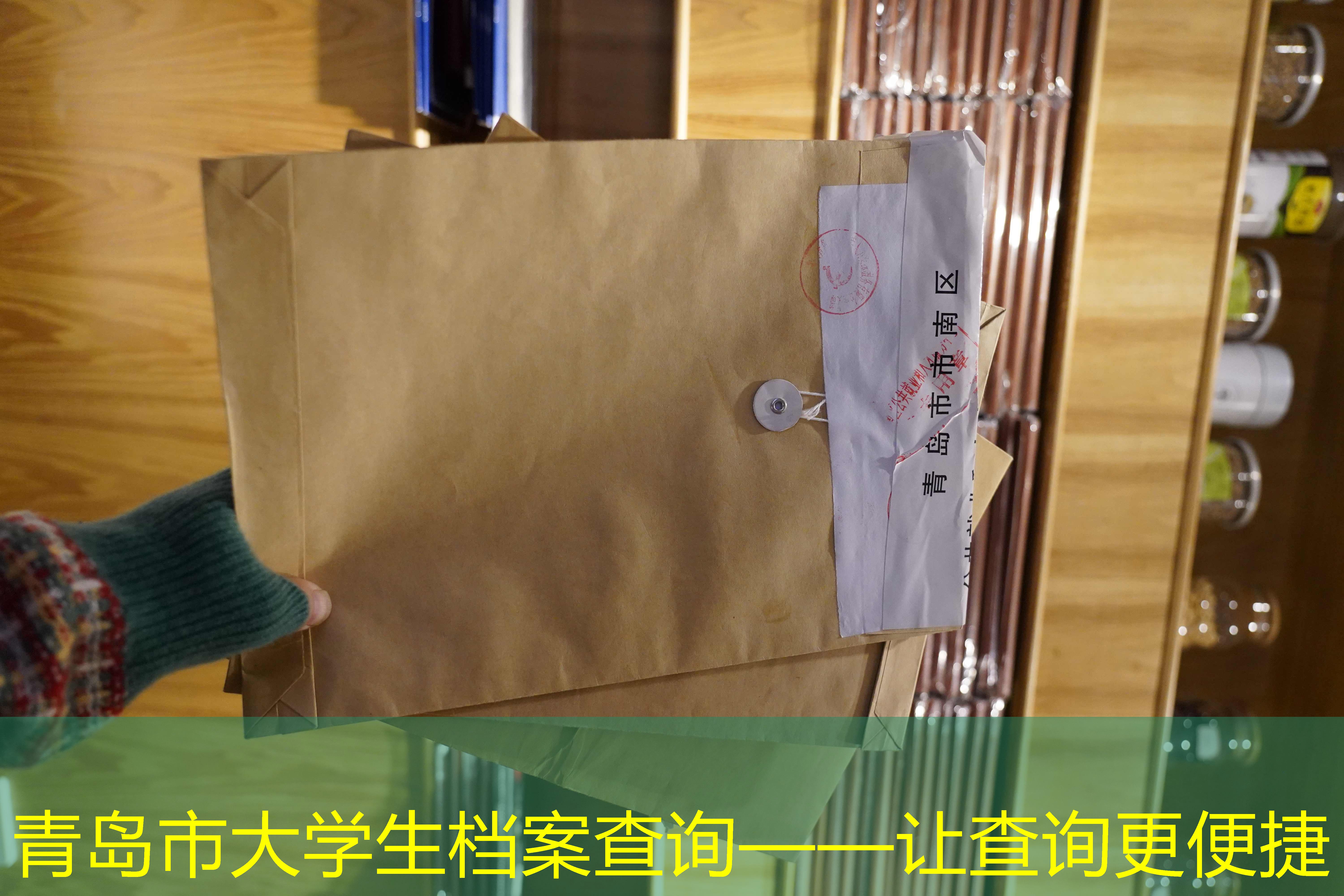 档案查询