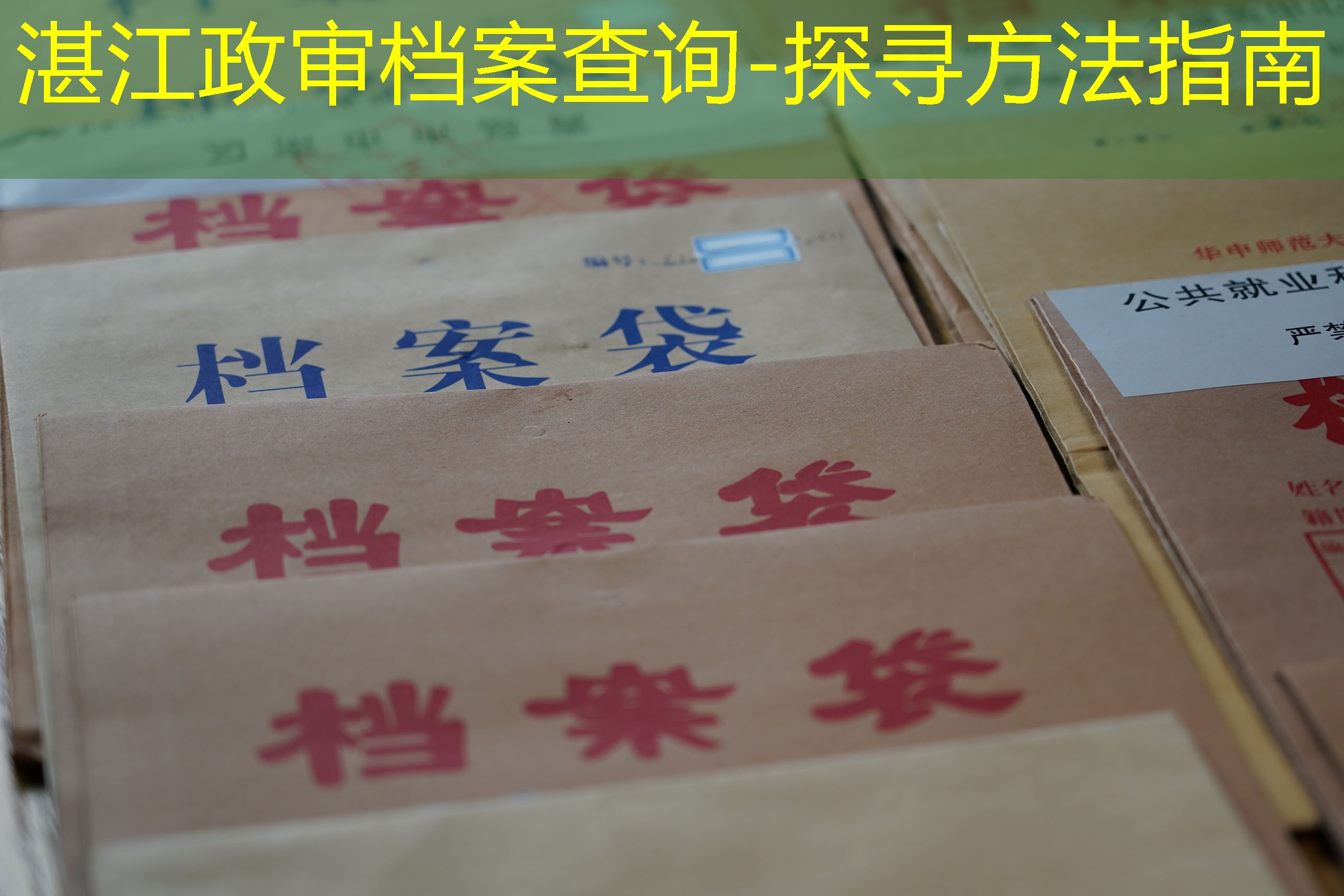档案查询