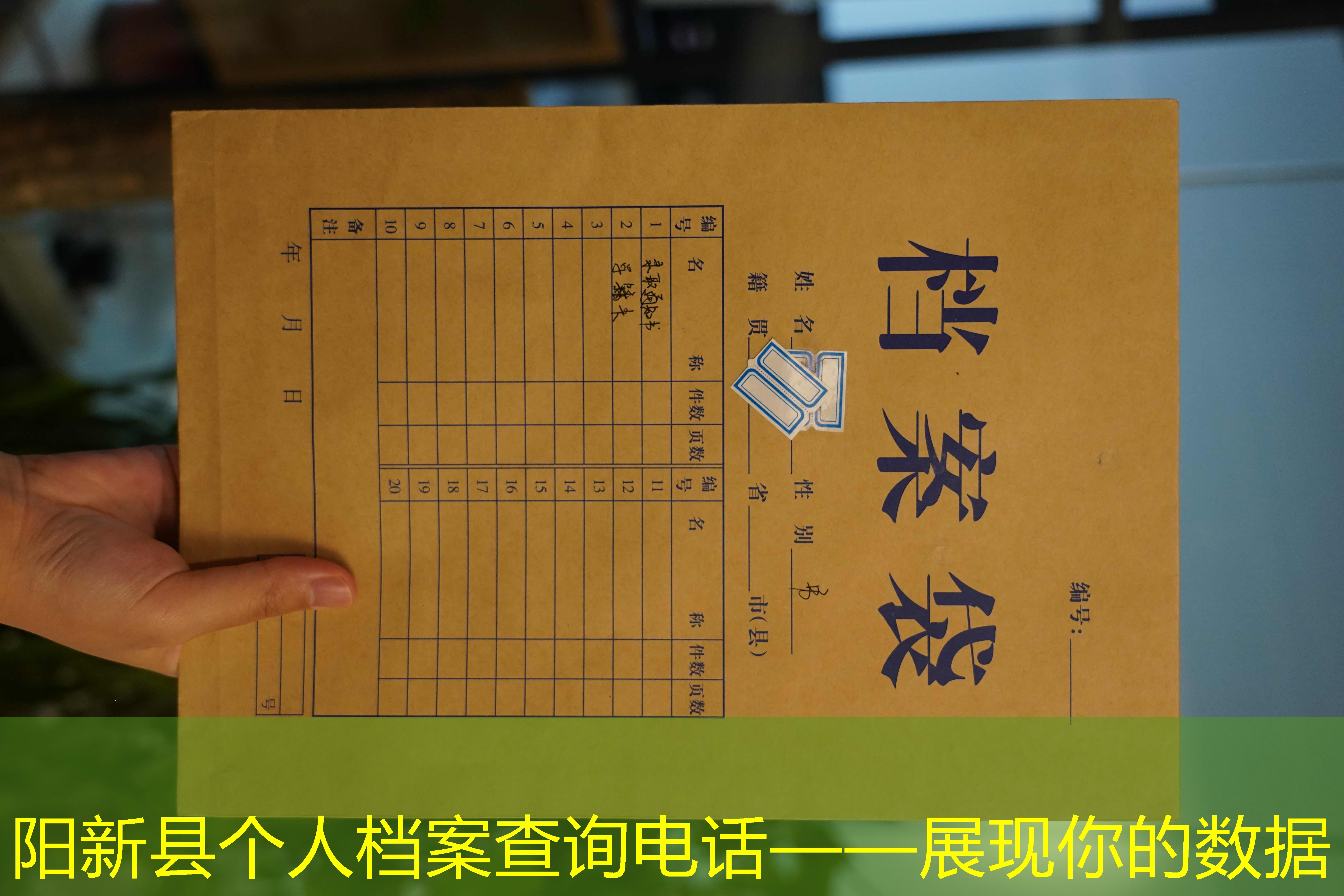 档案查询