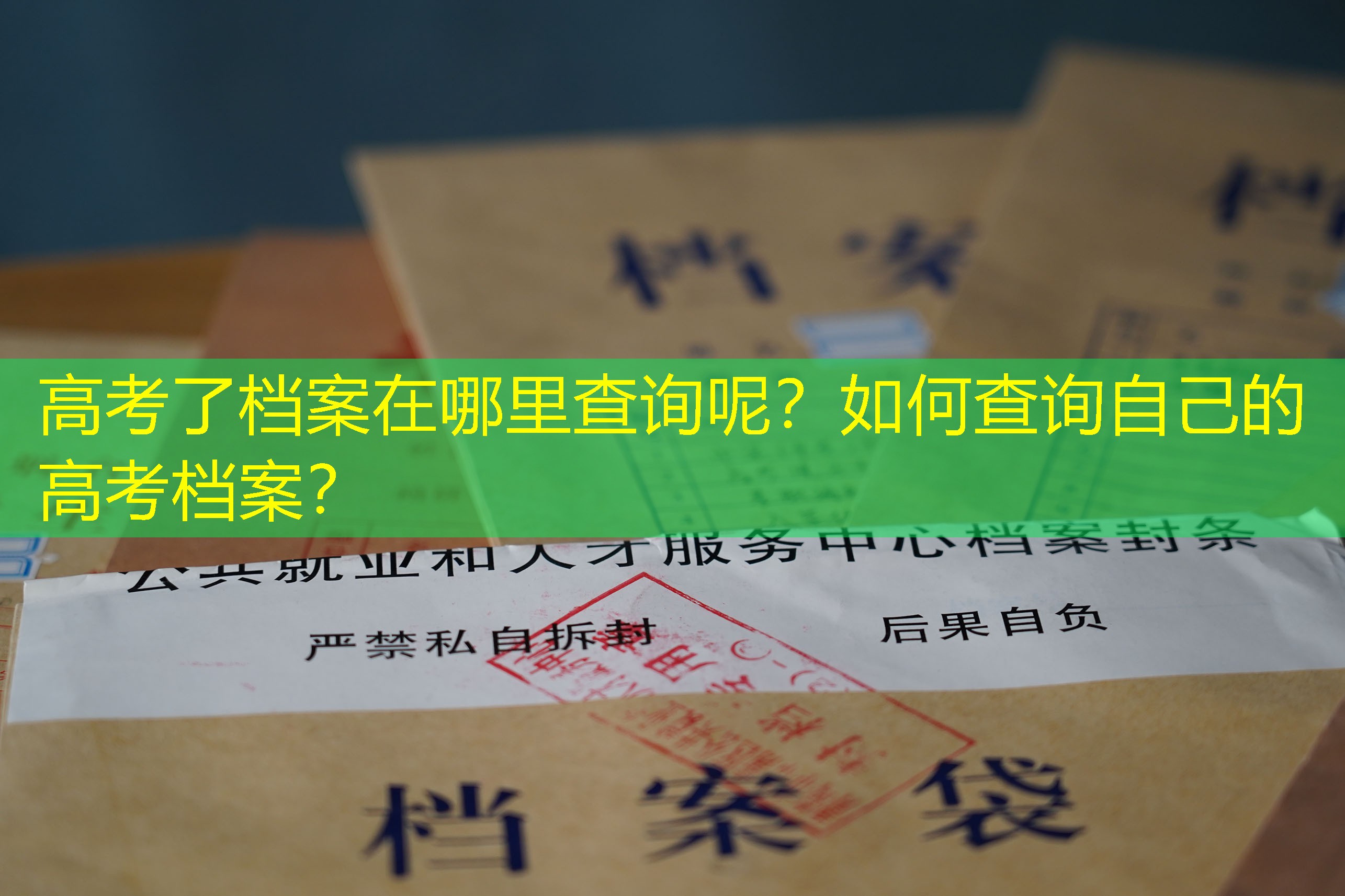 档案查询