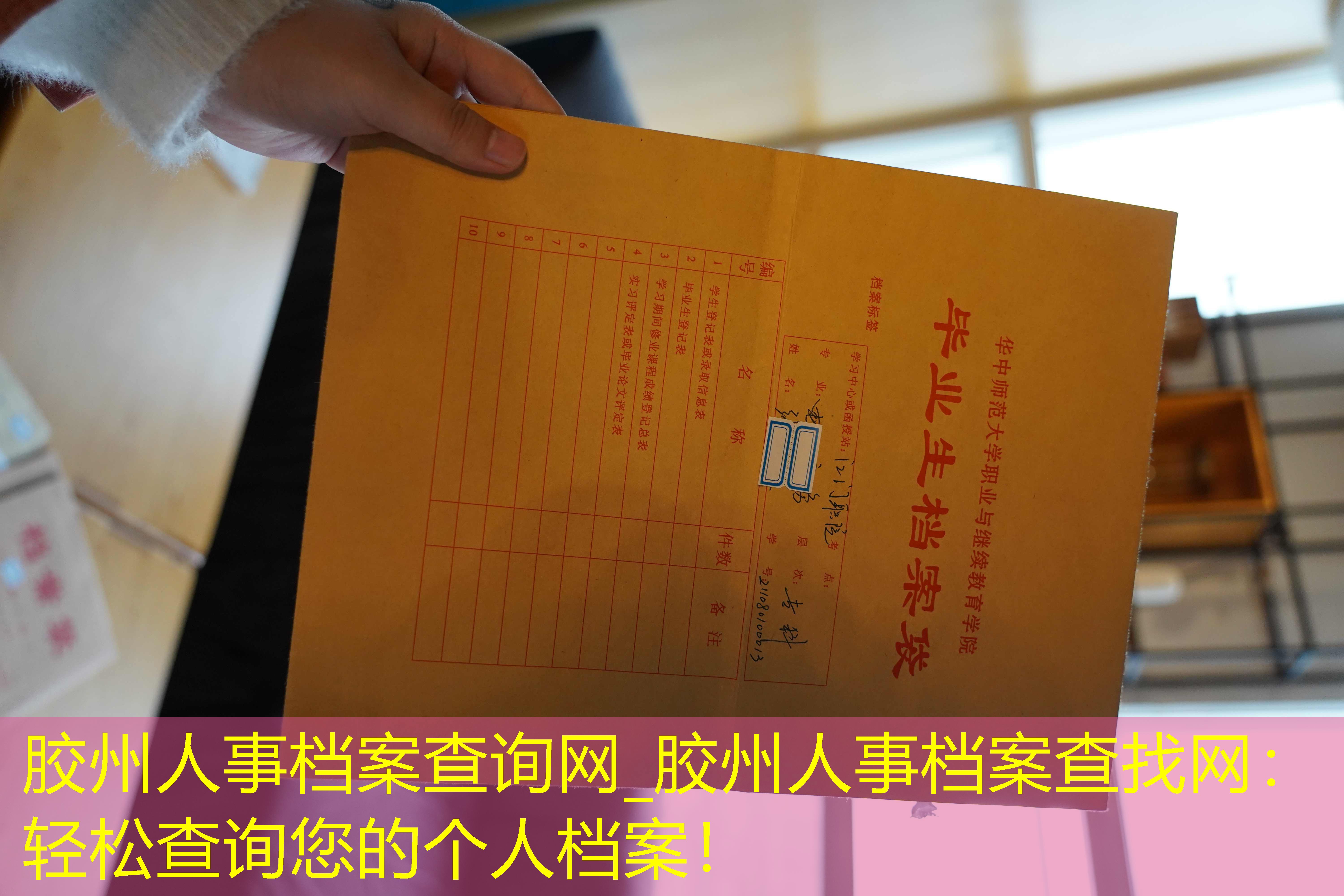 档案查询