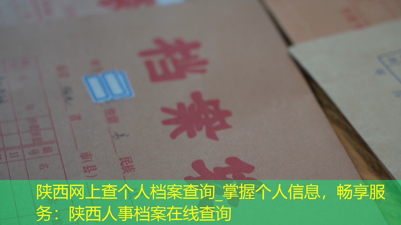 档案查询