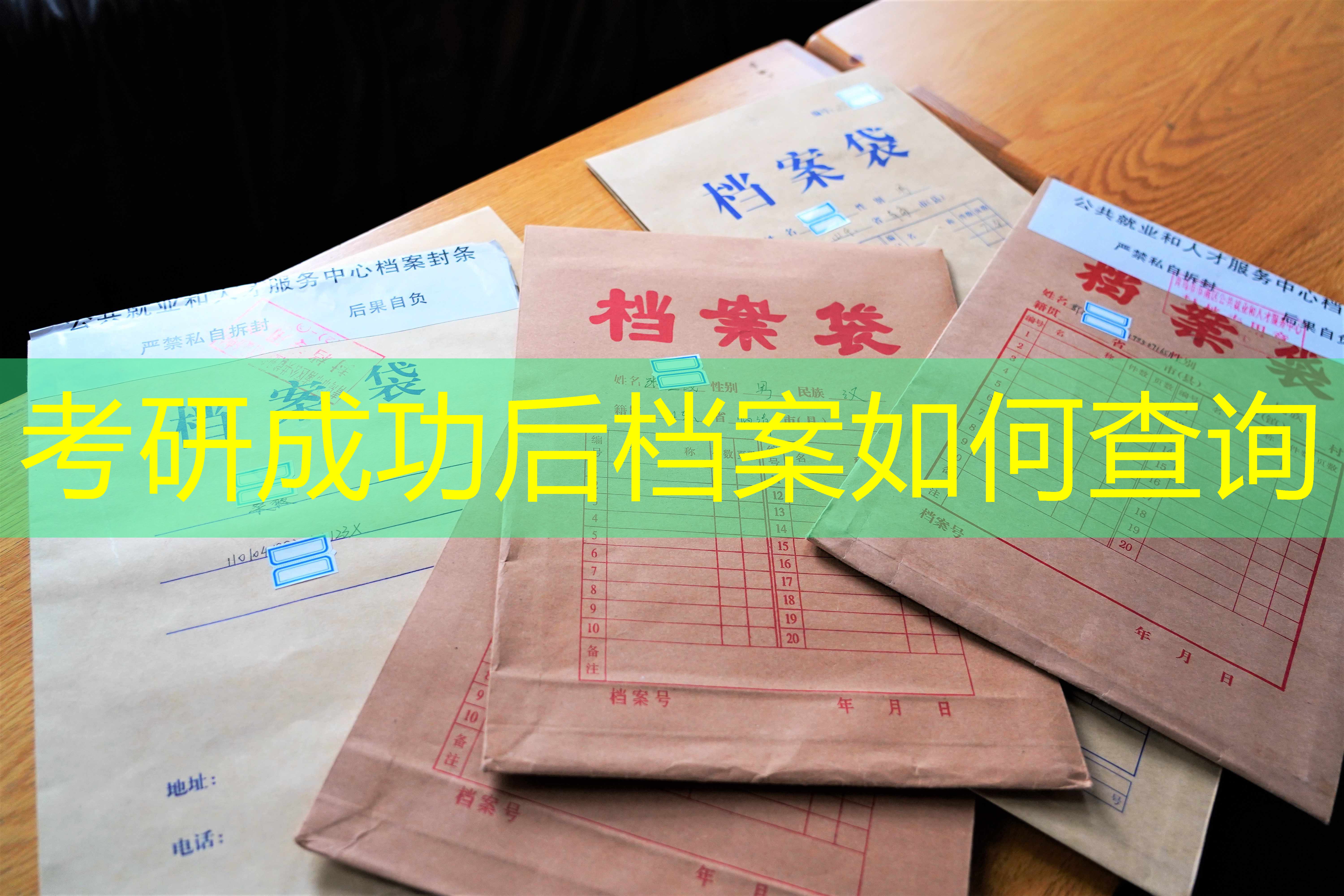 档案查询