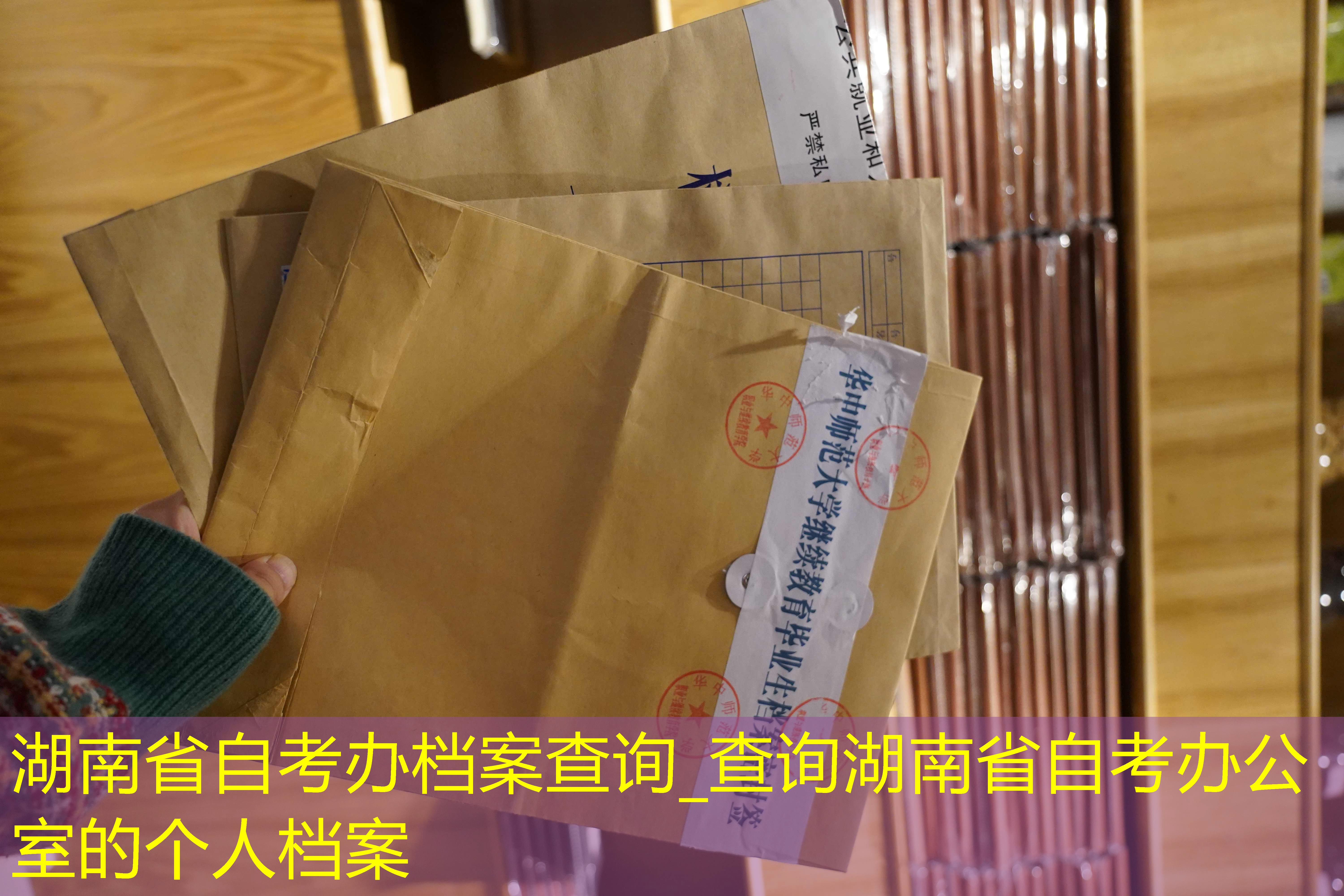 档案查询