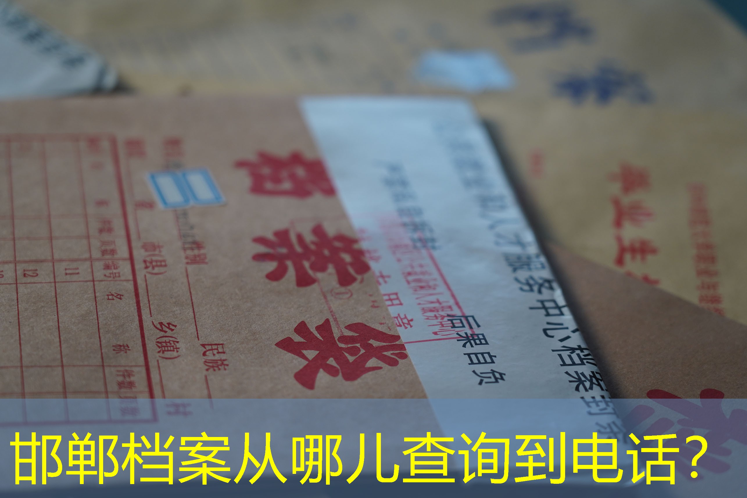 档案查询
