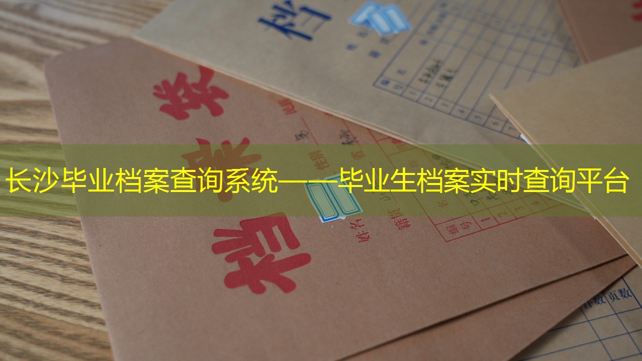 档案查询