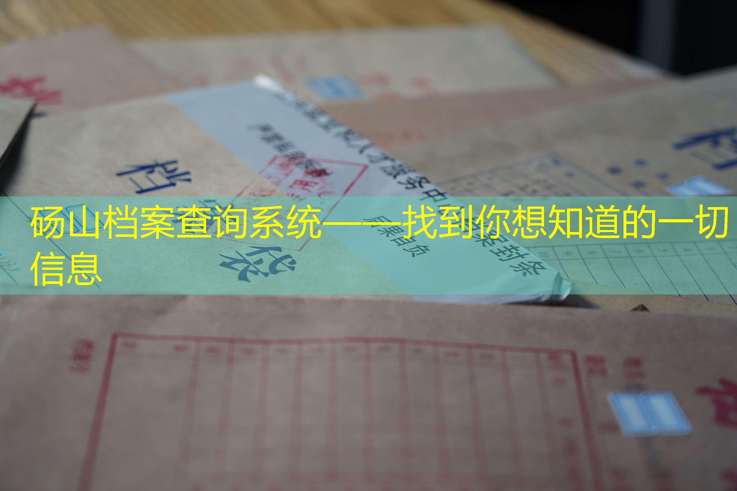 档案查询