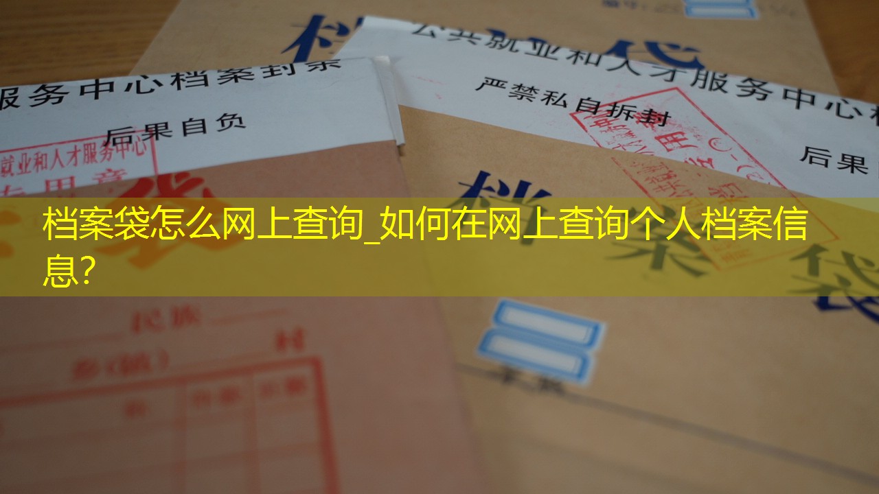 档案查询