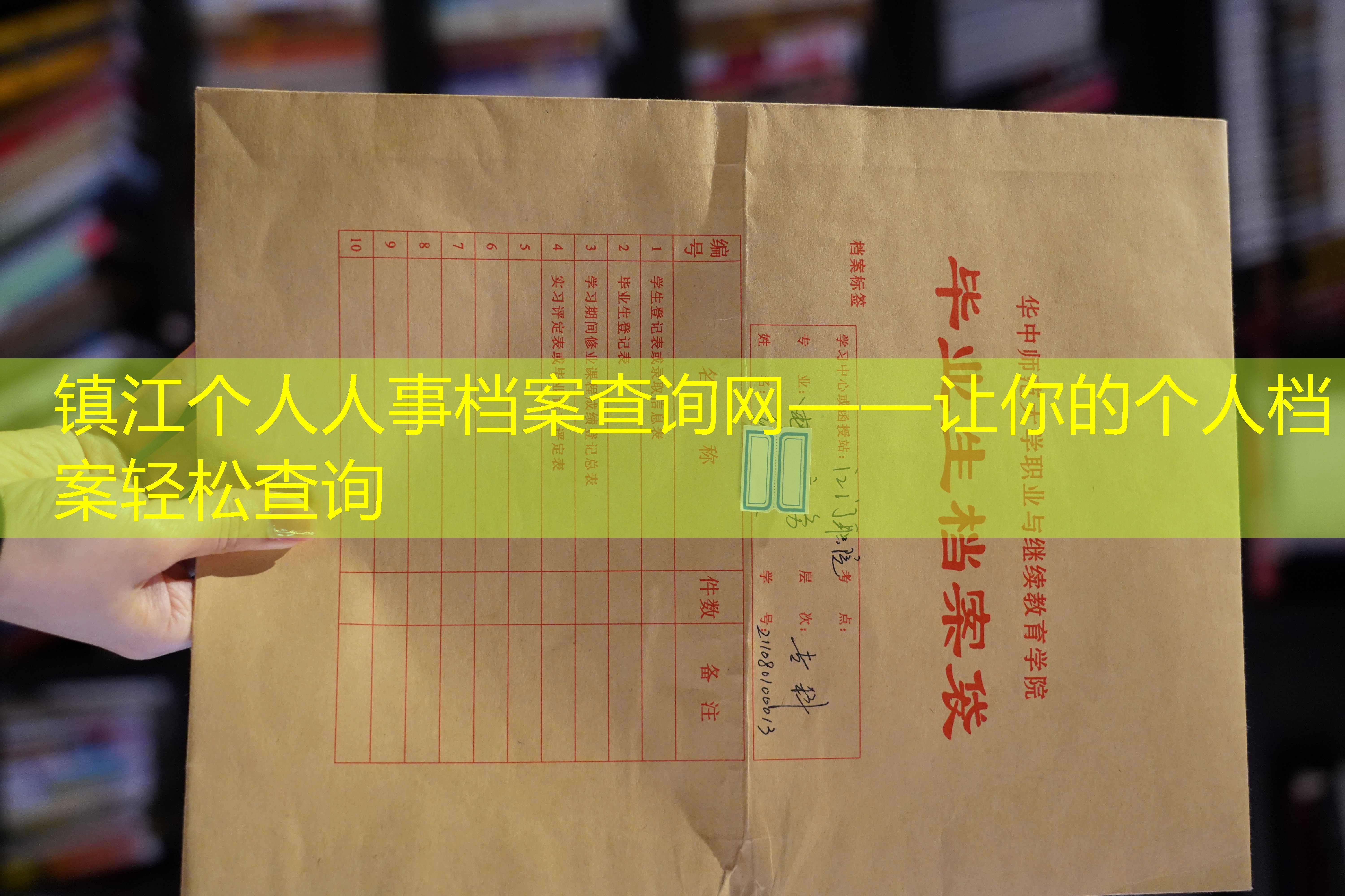 档案查询