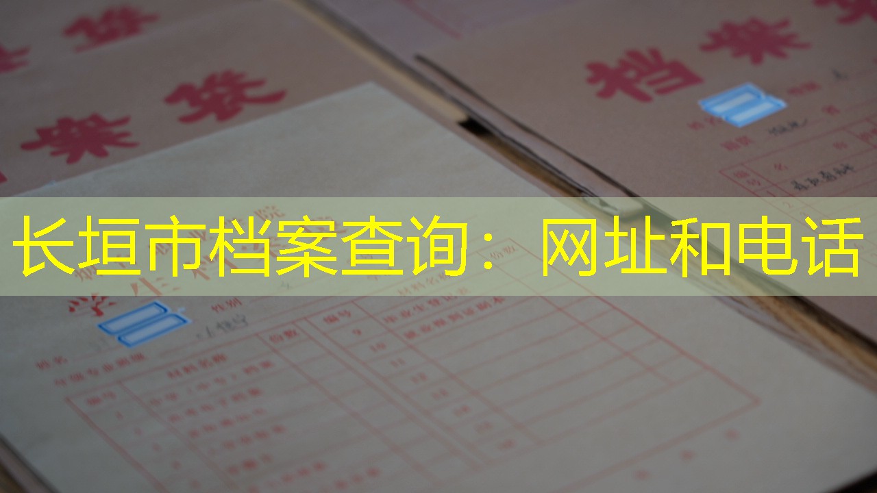 档案查询
