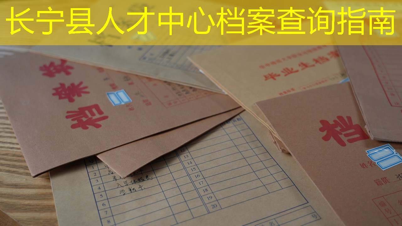 档案查询