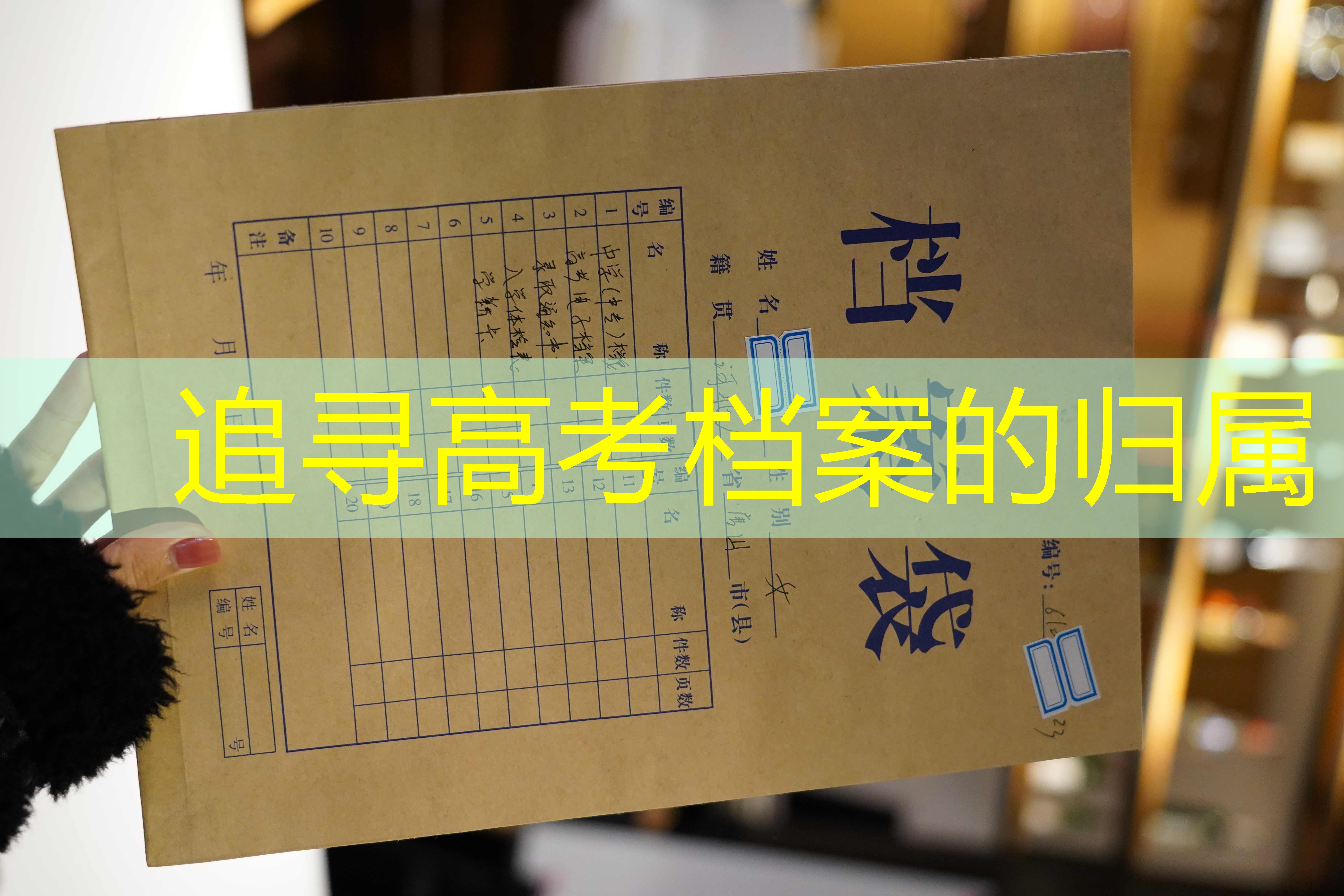 档案查询