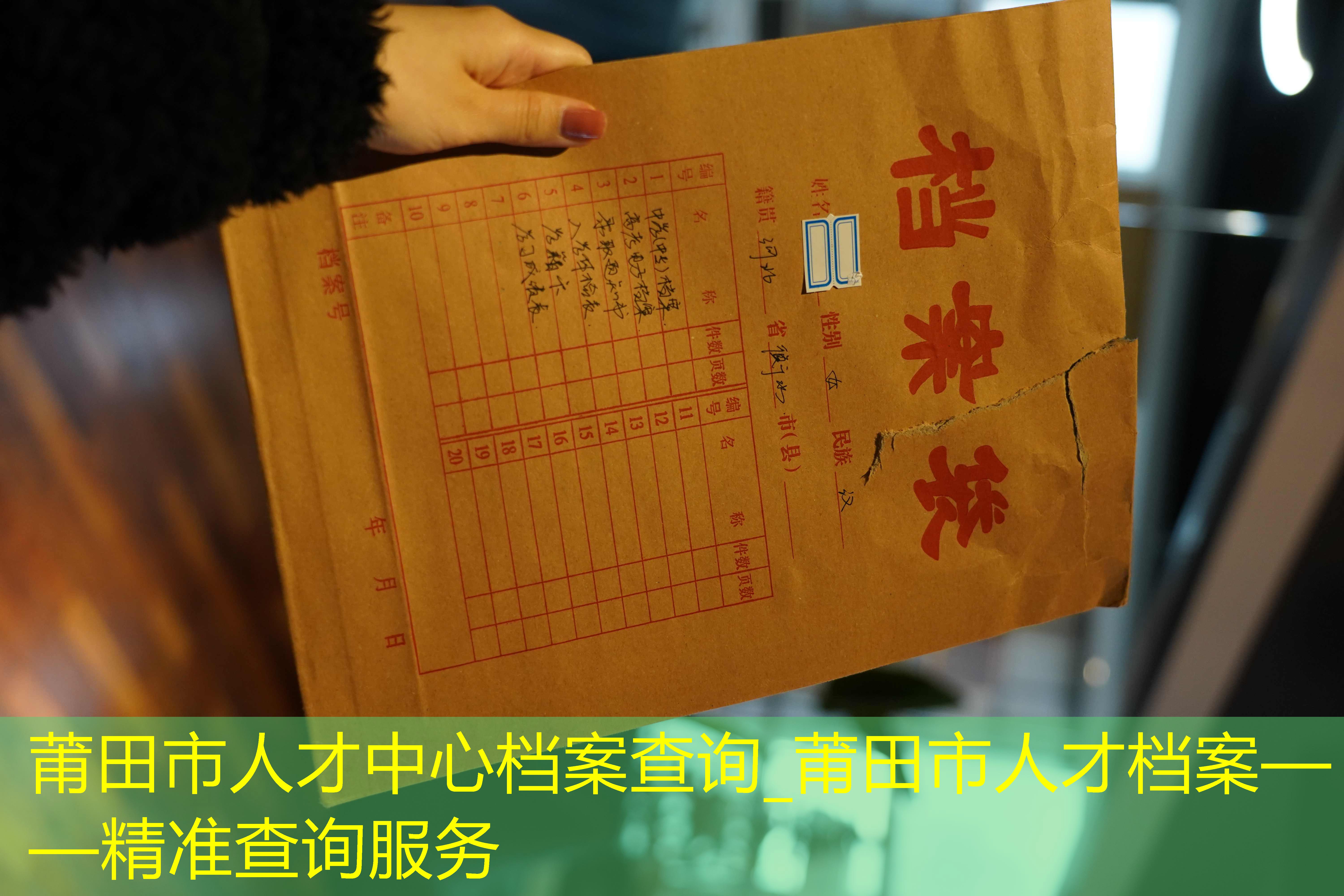 档案查询