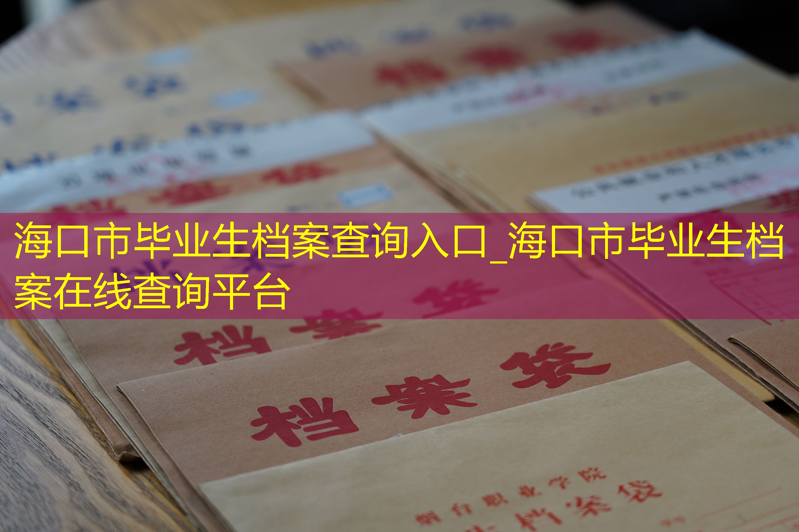 档案查询