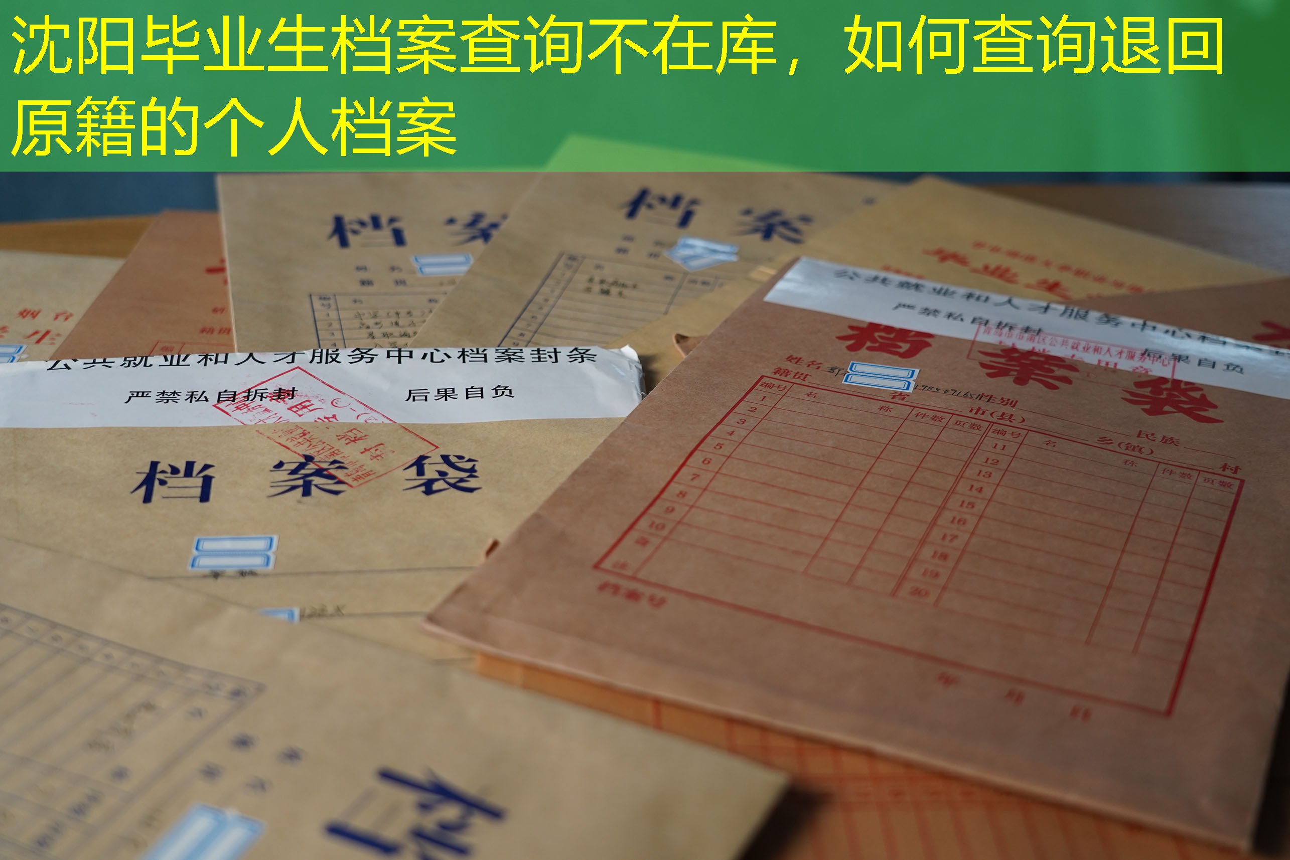 档案查询
