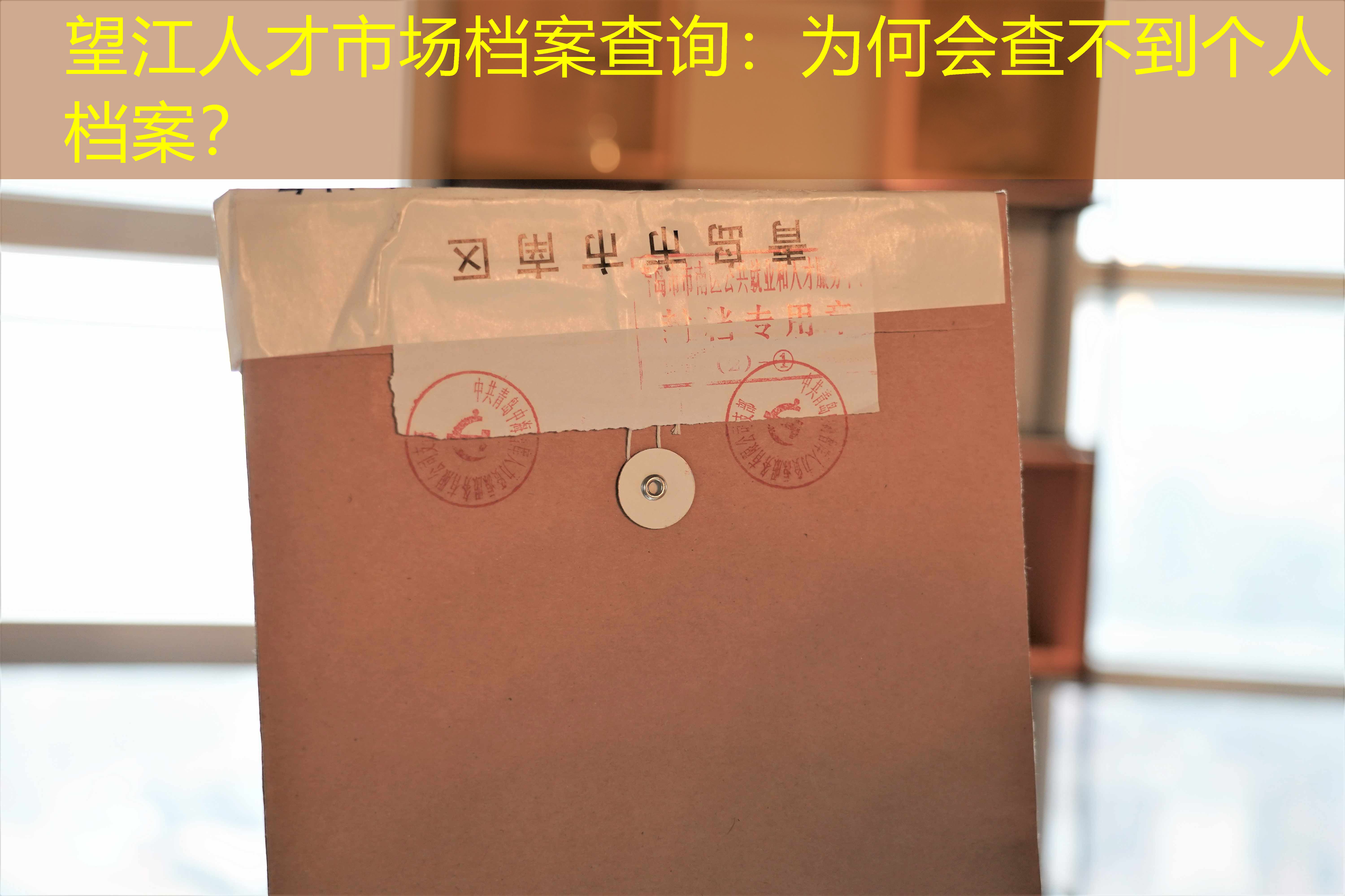 档案查询