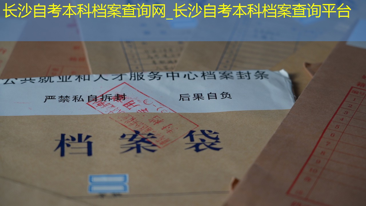 档案查询