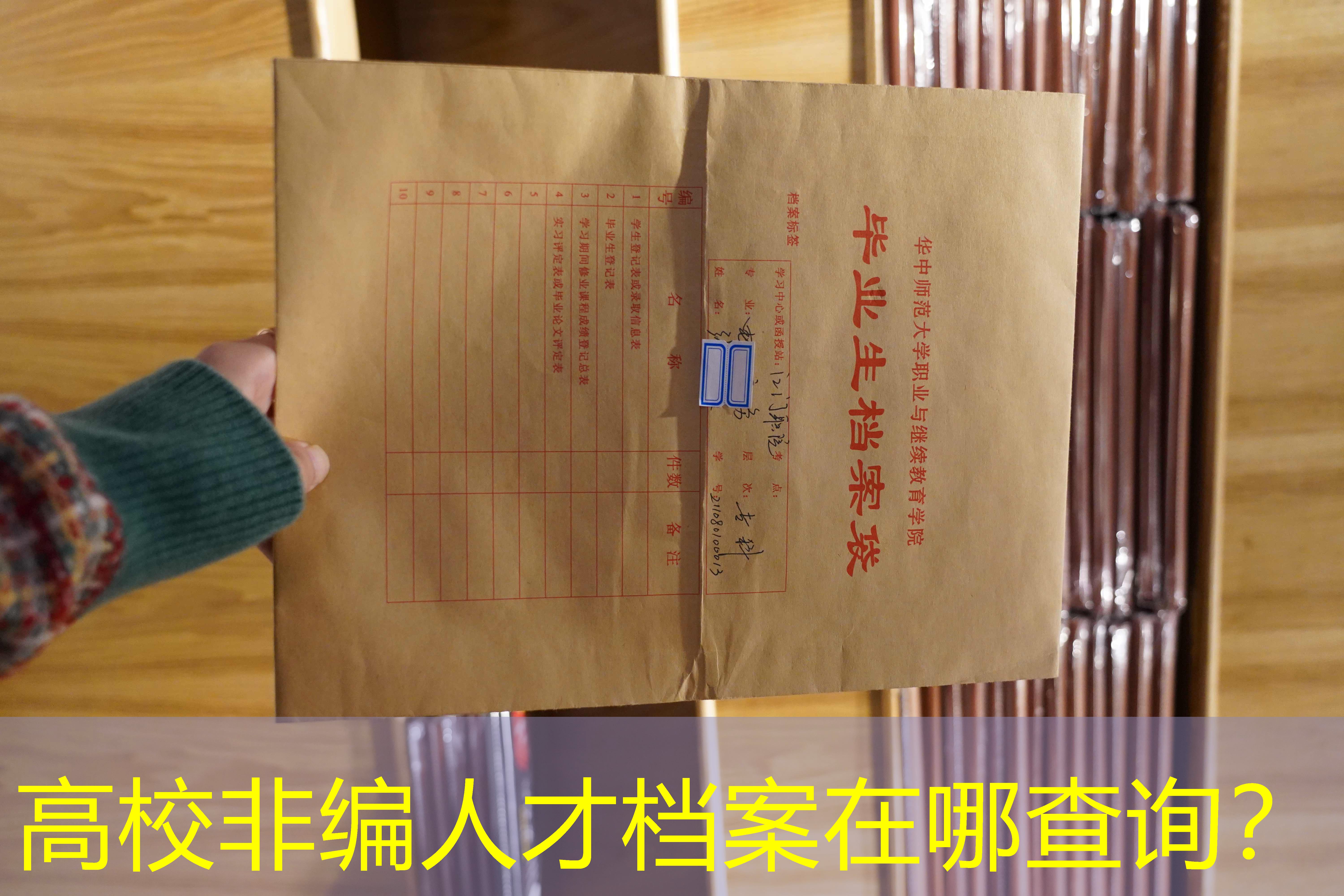 档案查询