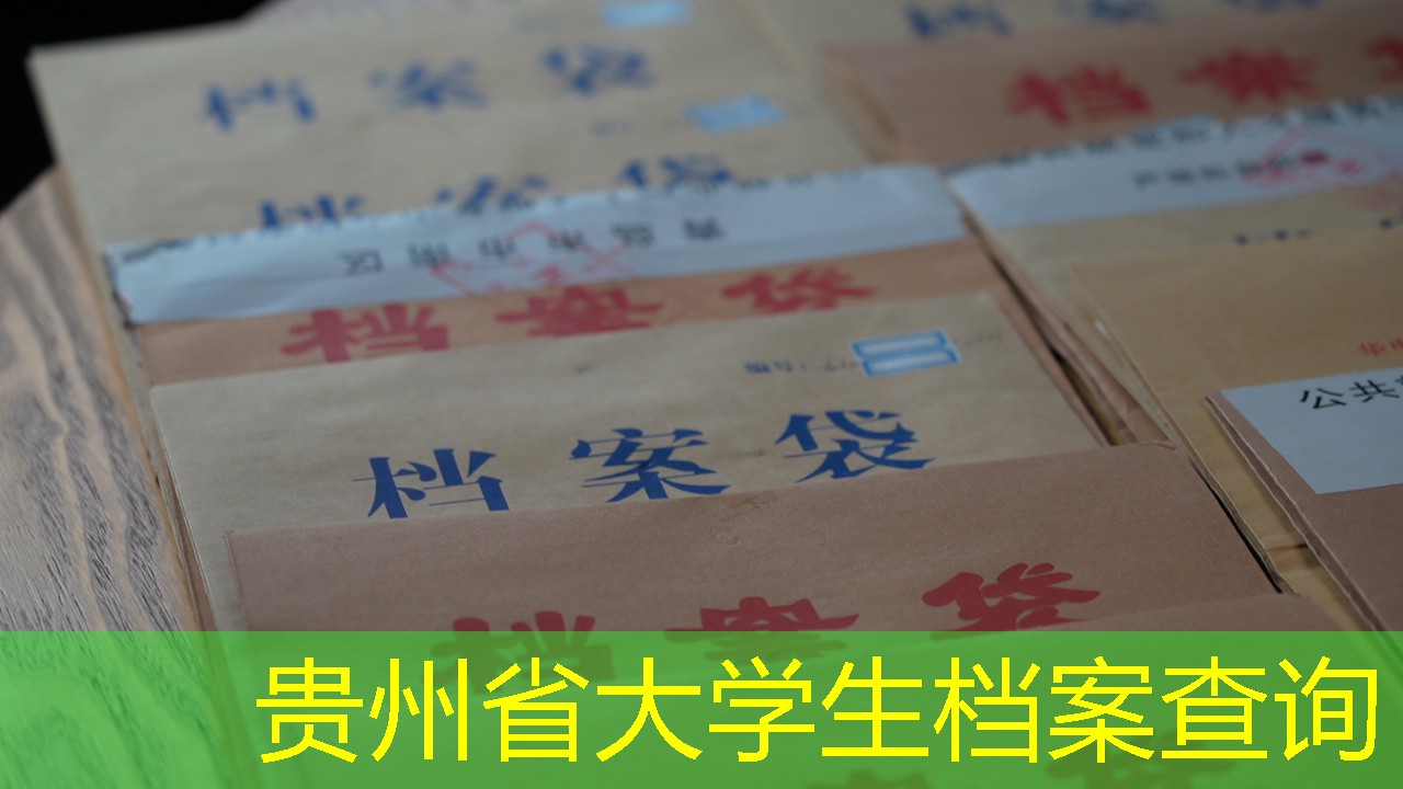 档案查询