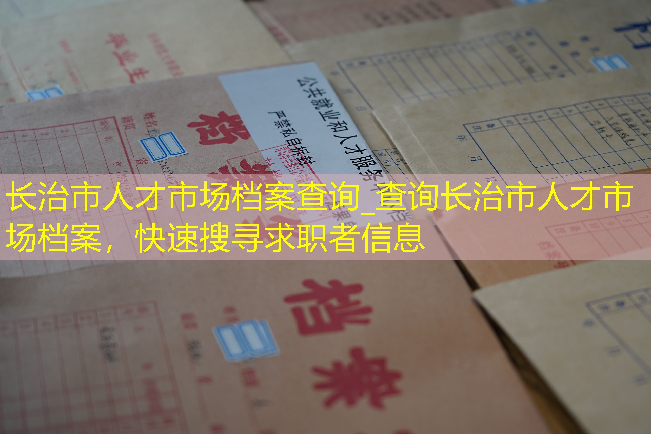 档案查询