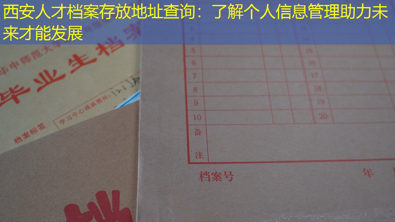 档案查询