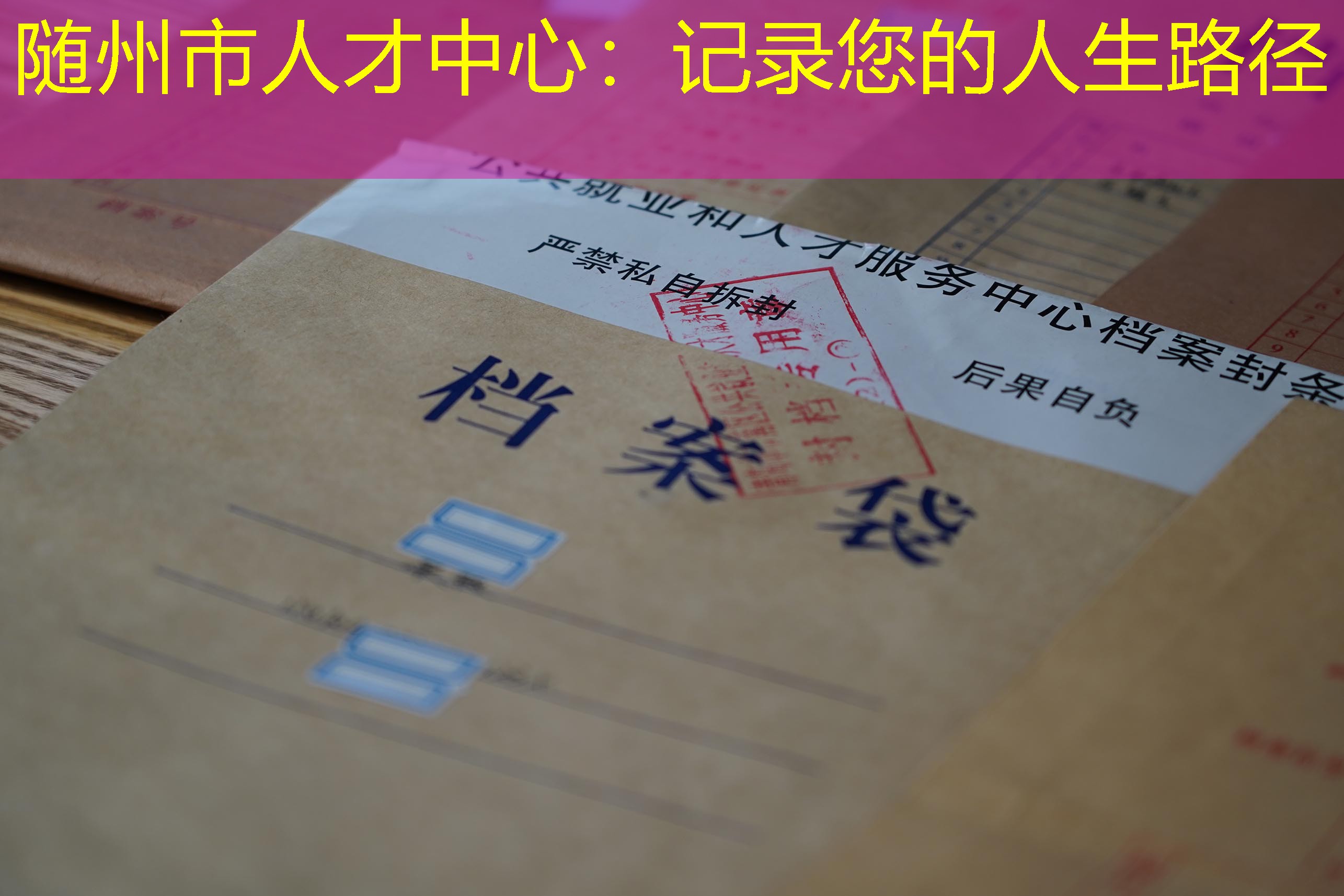 档案查询