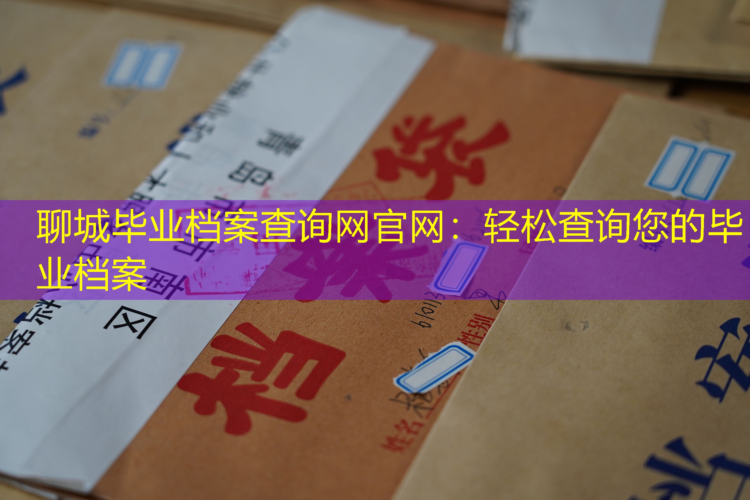 档案查询