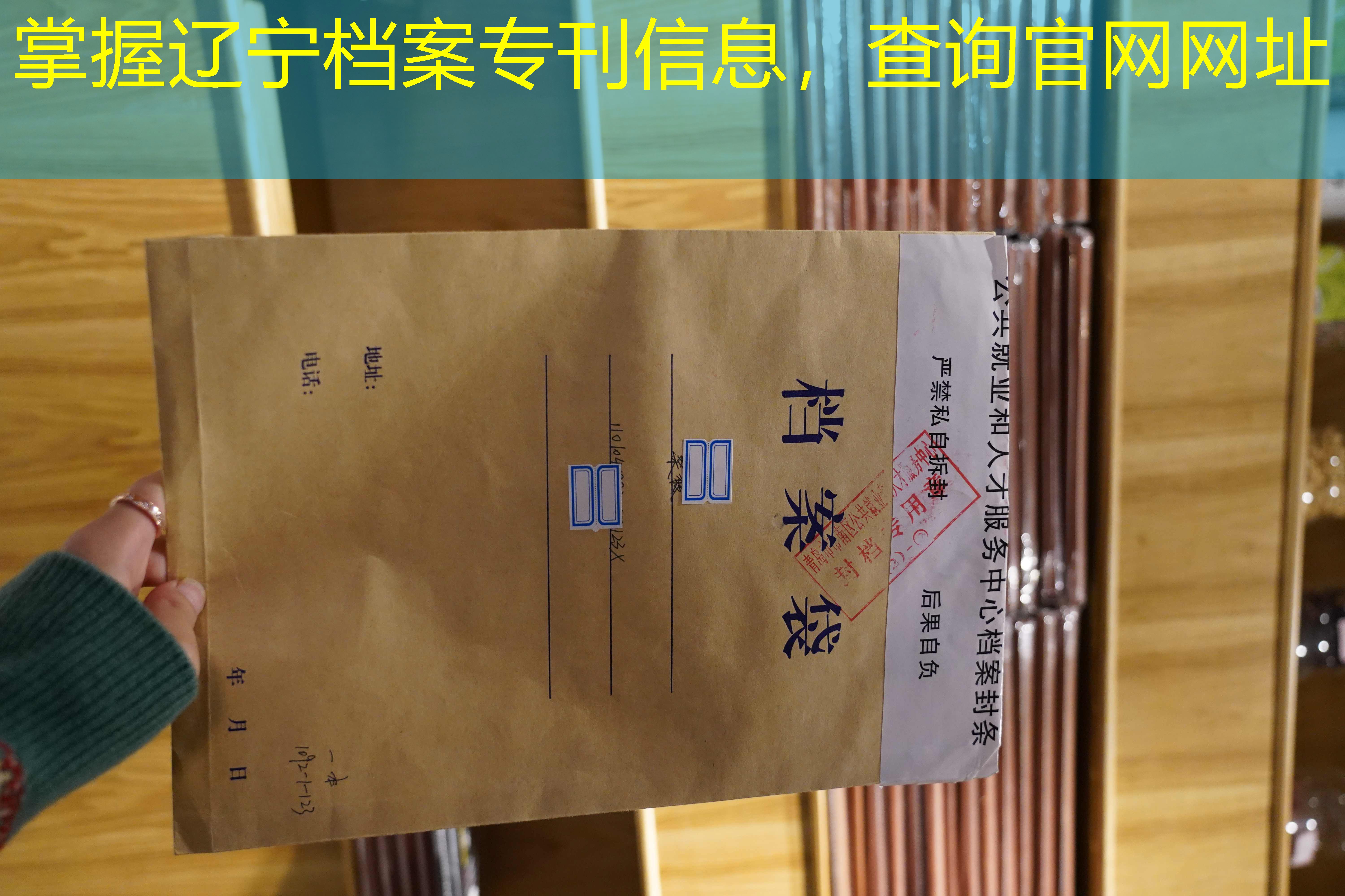 档案查询