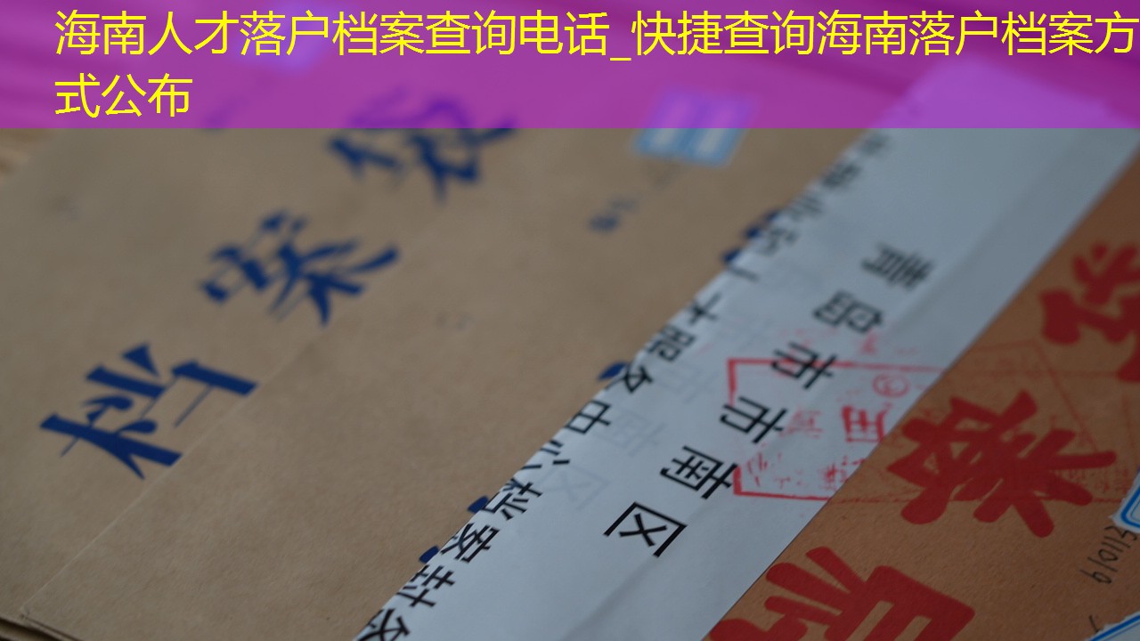 档案查询