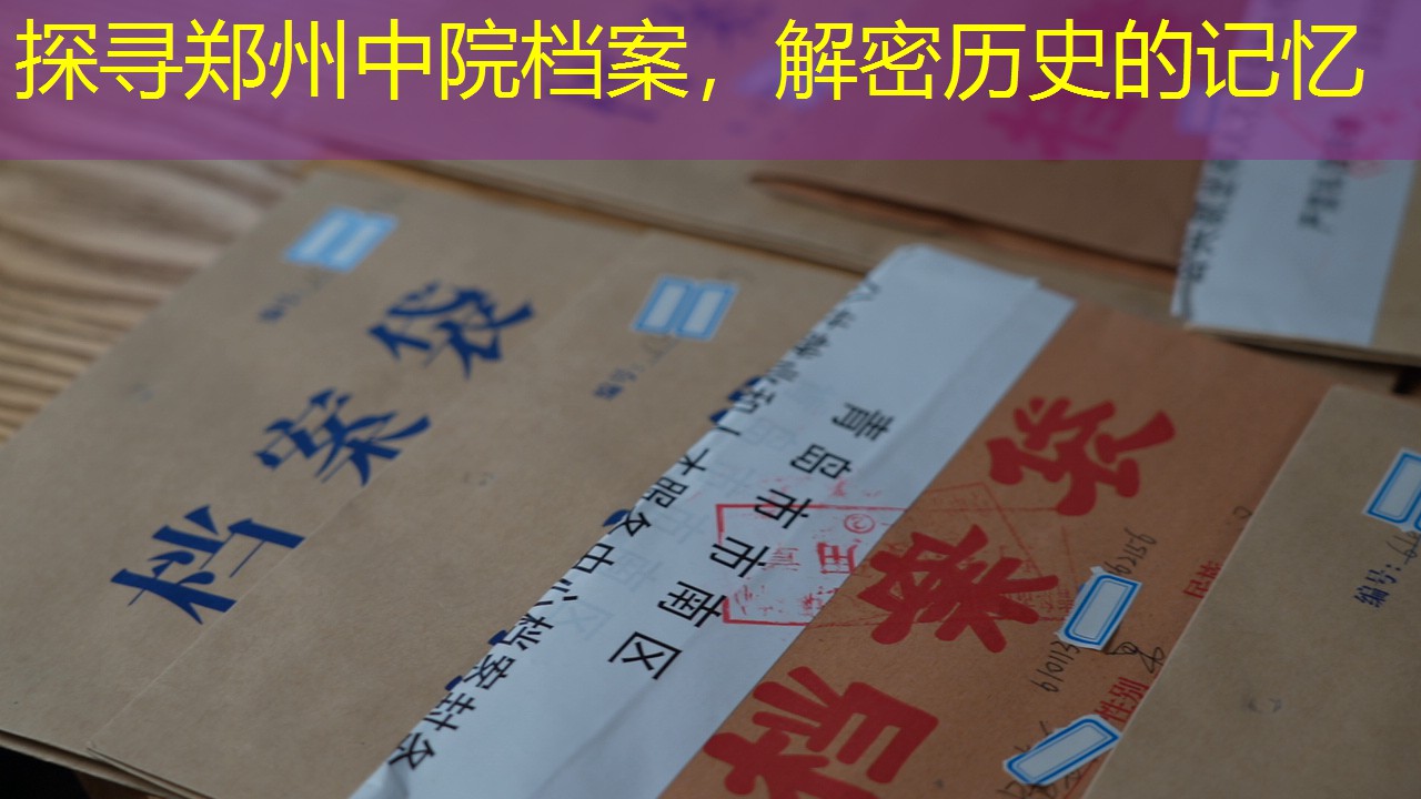 档案查询