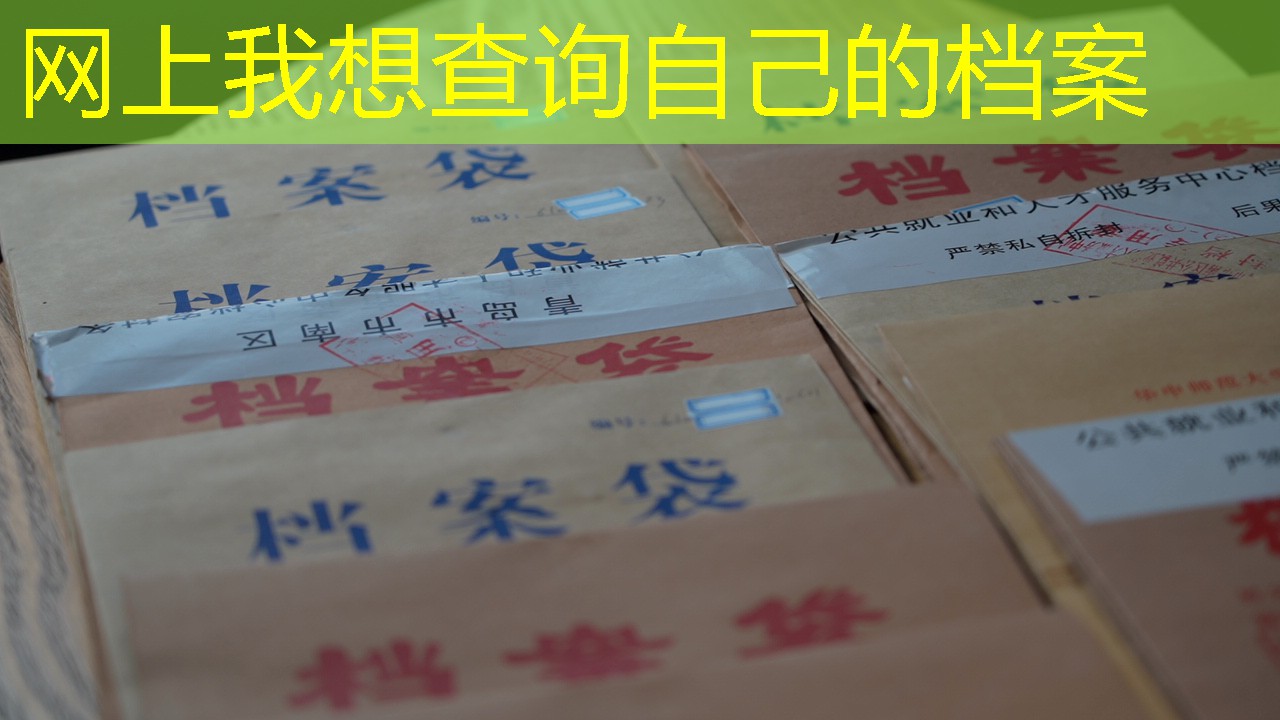 档案查询